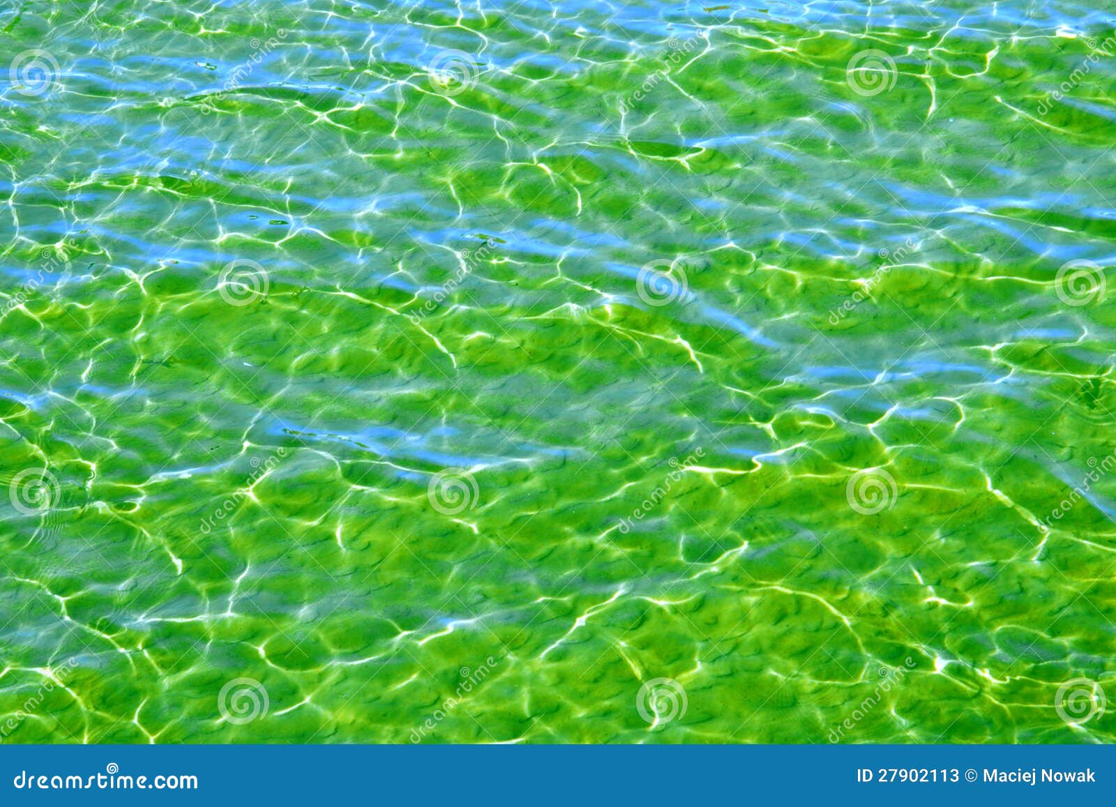 Pure Green Water 41