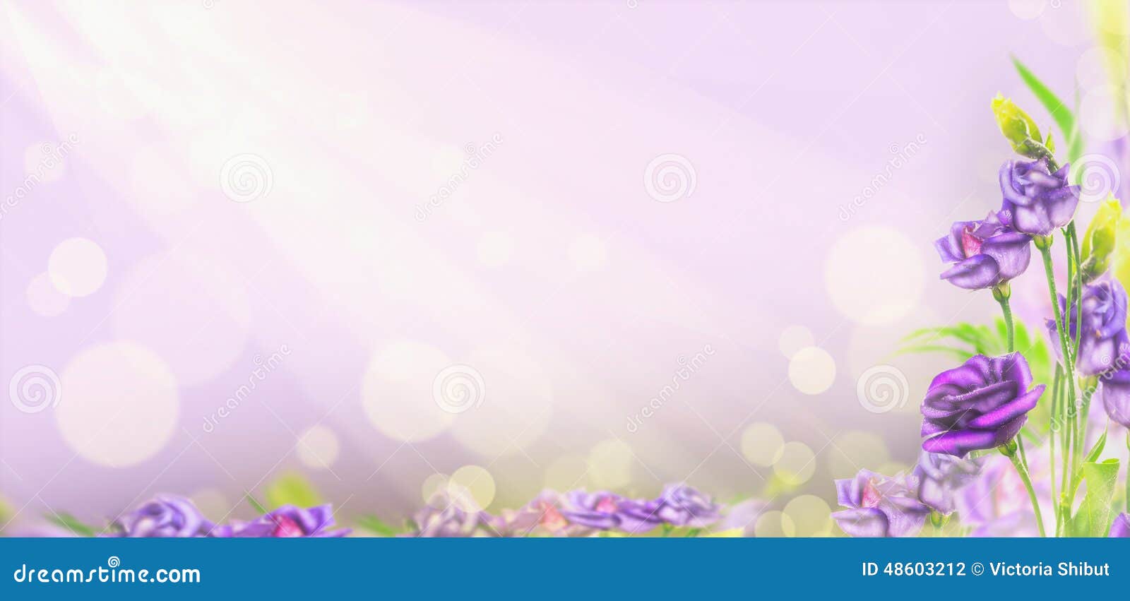 purple flowers blured background bokeh banner website 48603212