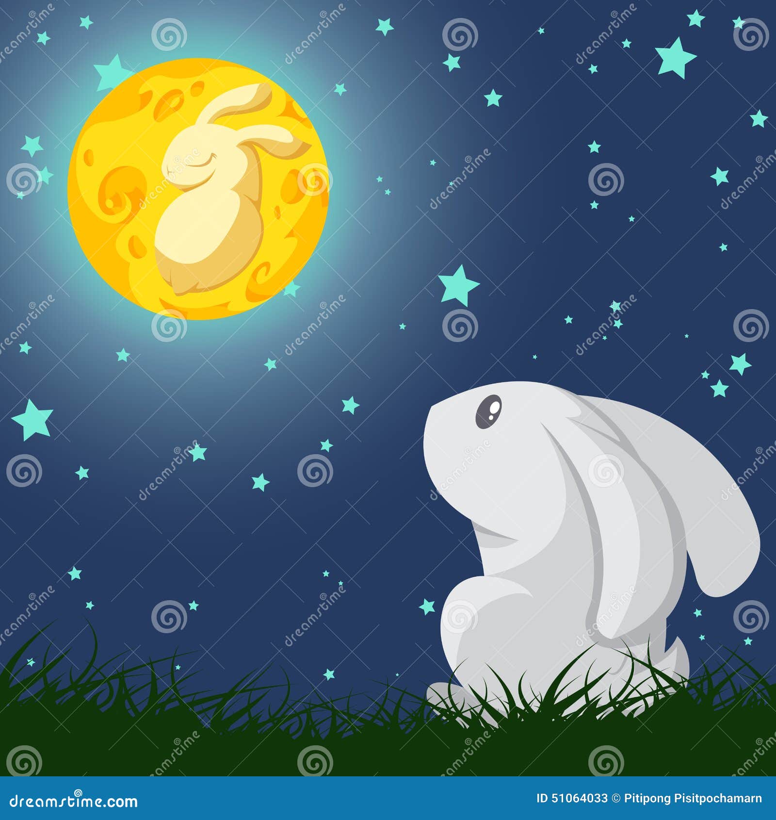 My Image 12