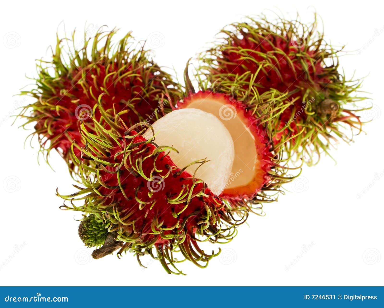 18+ Seribu Mimpi 2d Rambutan