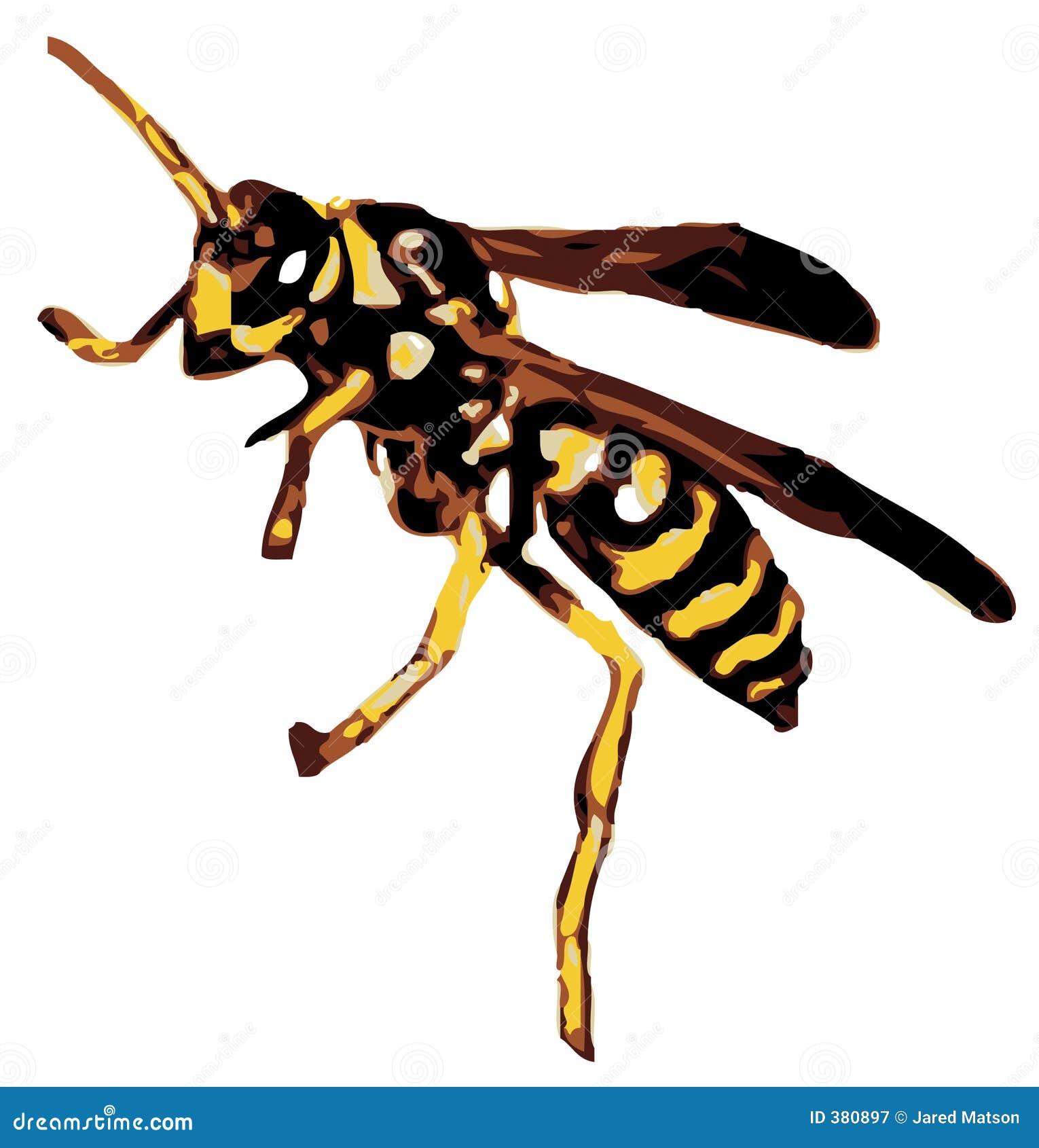 clipart yellow jacket bee - photo #10