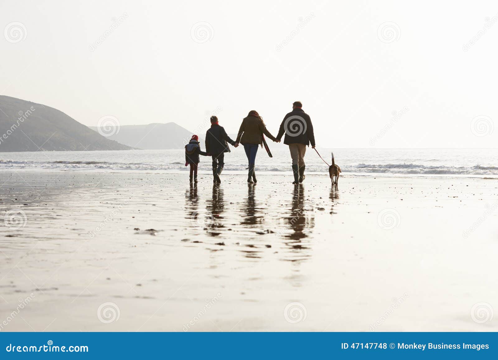 Dog Walking Business Prices Dog Walking Business Prices