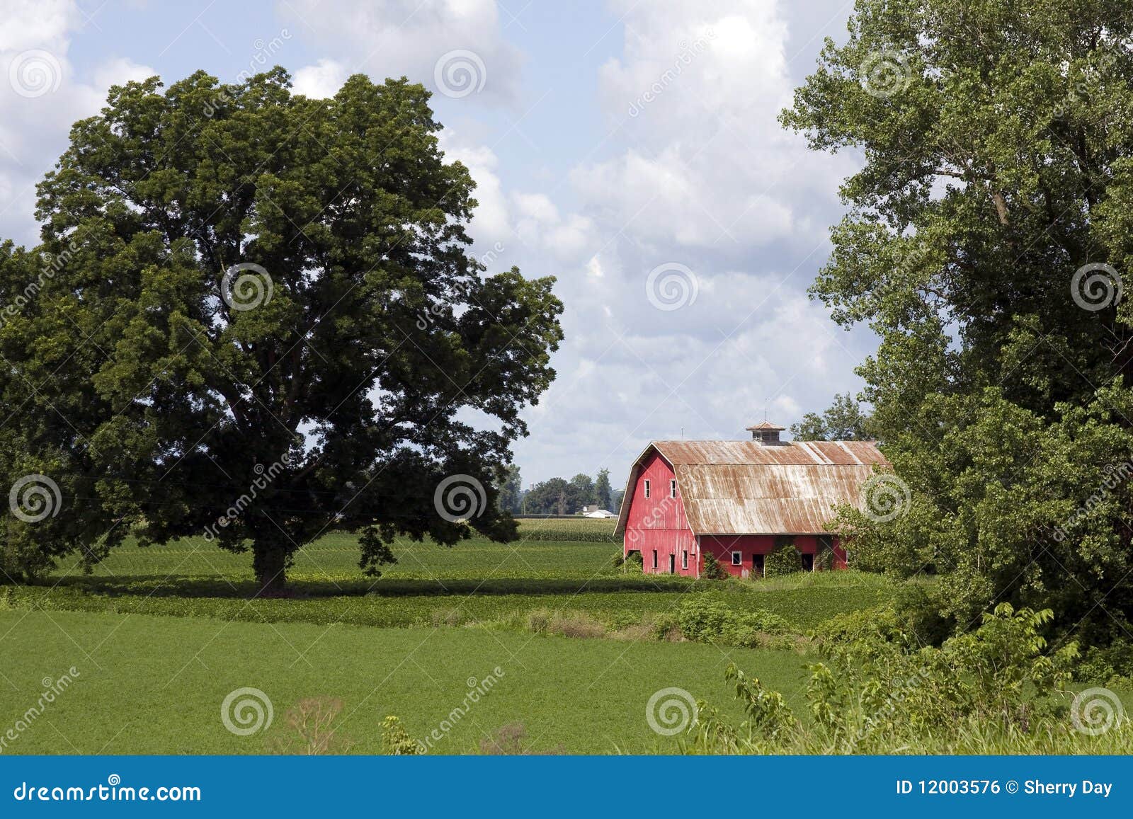 Old Red Barns Missouri