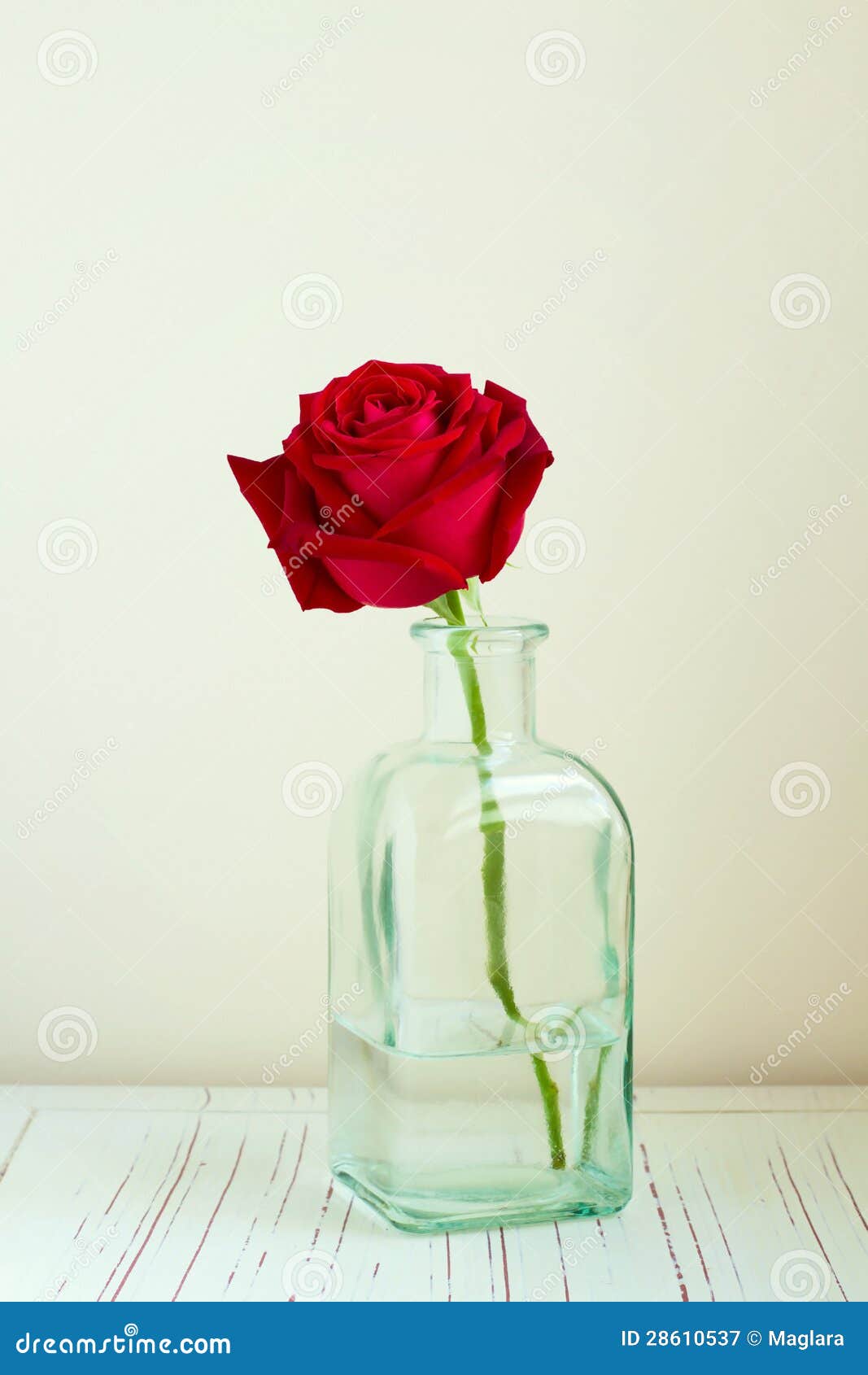 red-rose-bottle-28610537.jpg