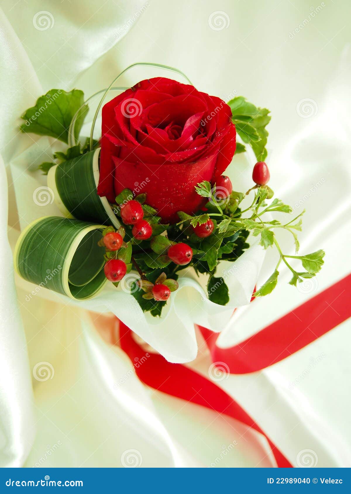 Valentine Red Rose