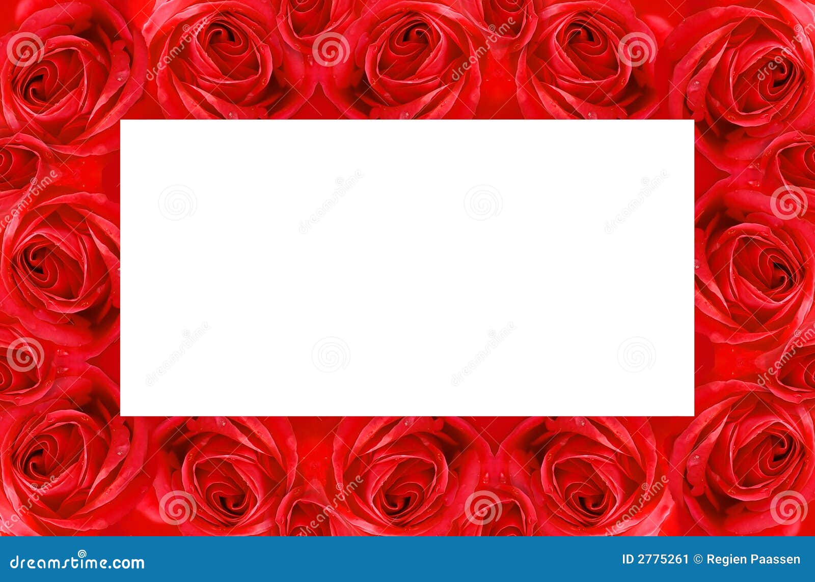 Red Rose Frame Stock Image Image 2775261