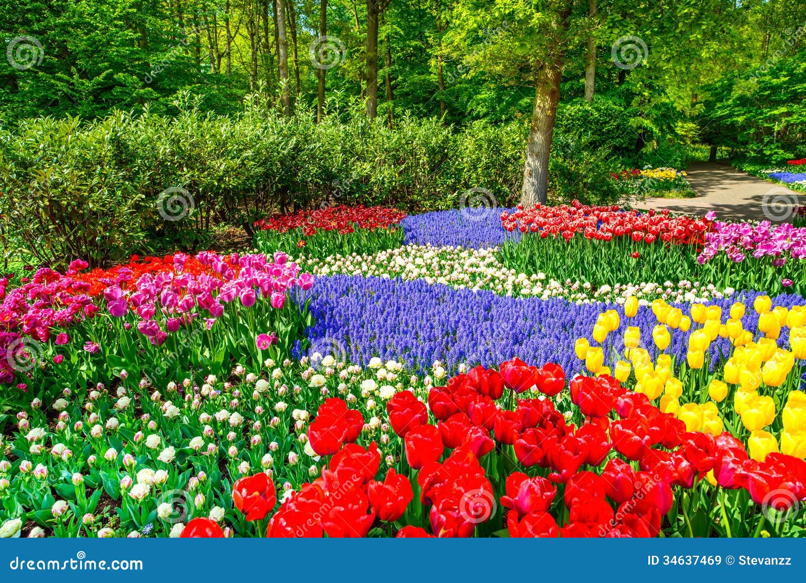 Tulip Garden Design