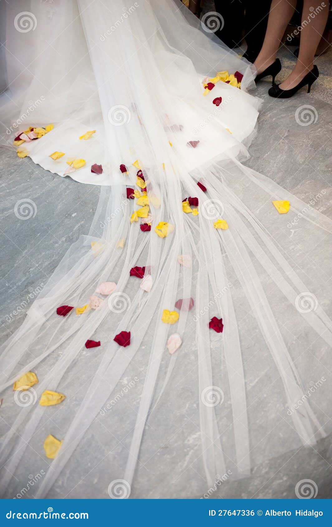 Red and Yellow Flowers in a White Wedding Dress. Red and Yellow Flowers in a White Wedding Dress.