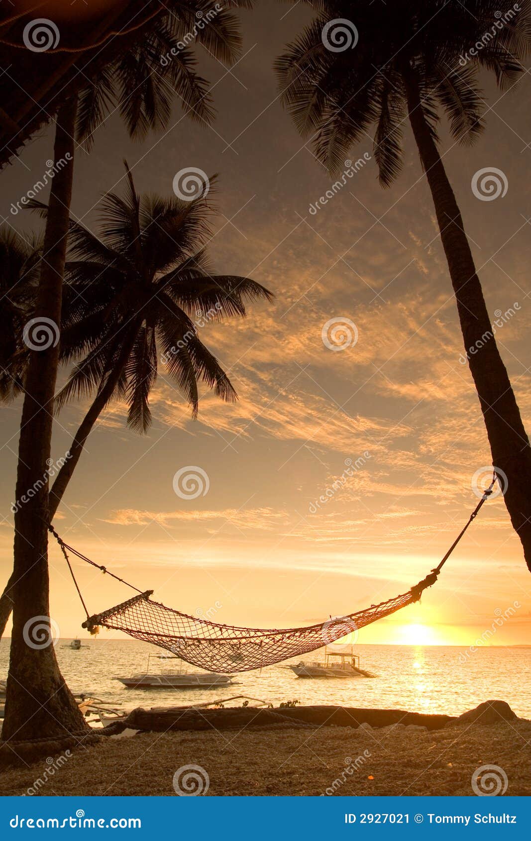 hammock and tall palm trees frame a golden sunset beside a calm 