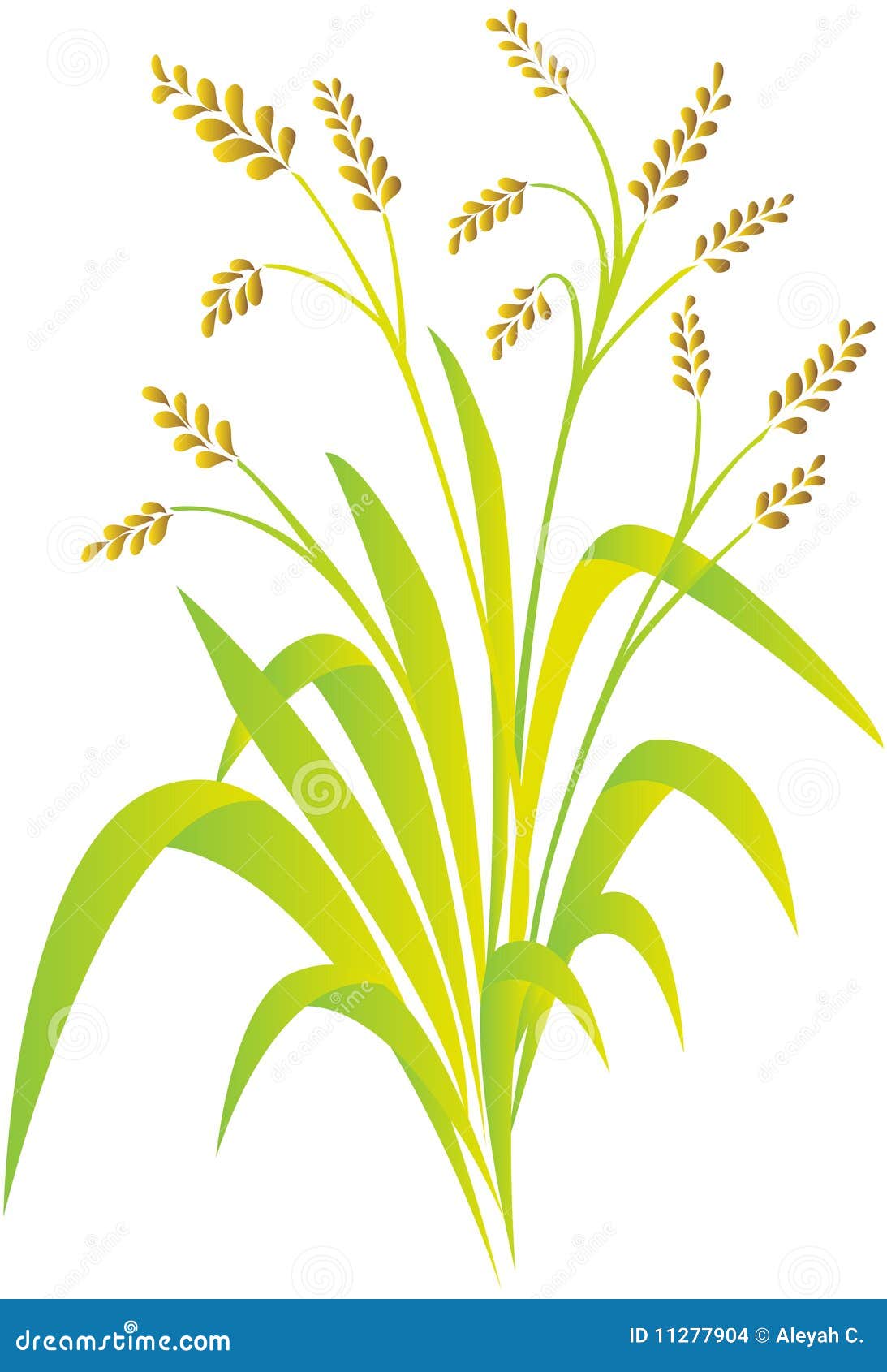 rice plant clipart - photo #18