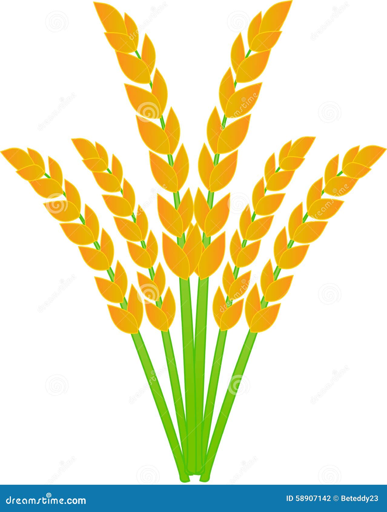 rice plant clipart - photo #45