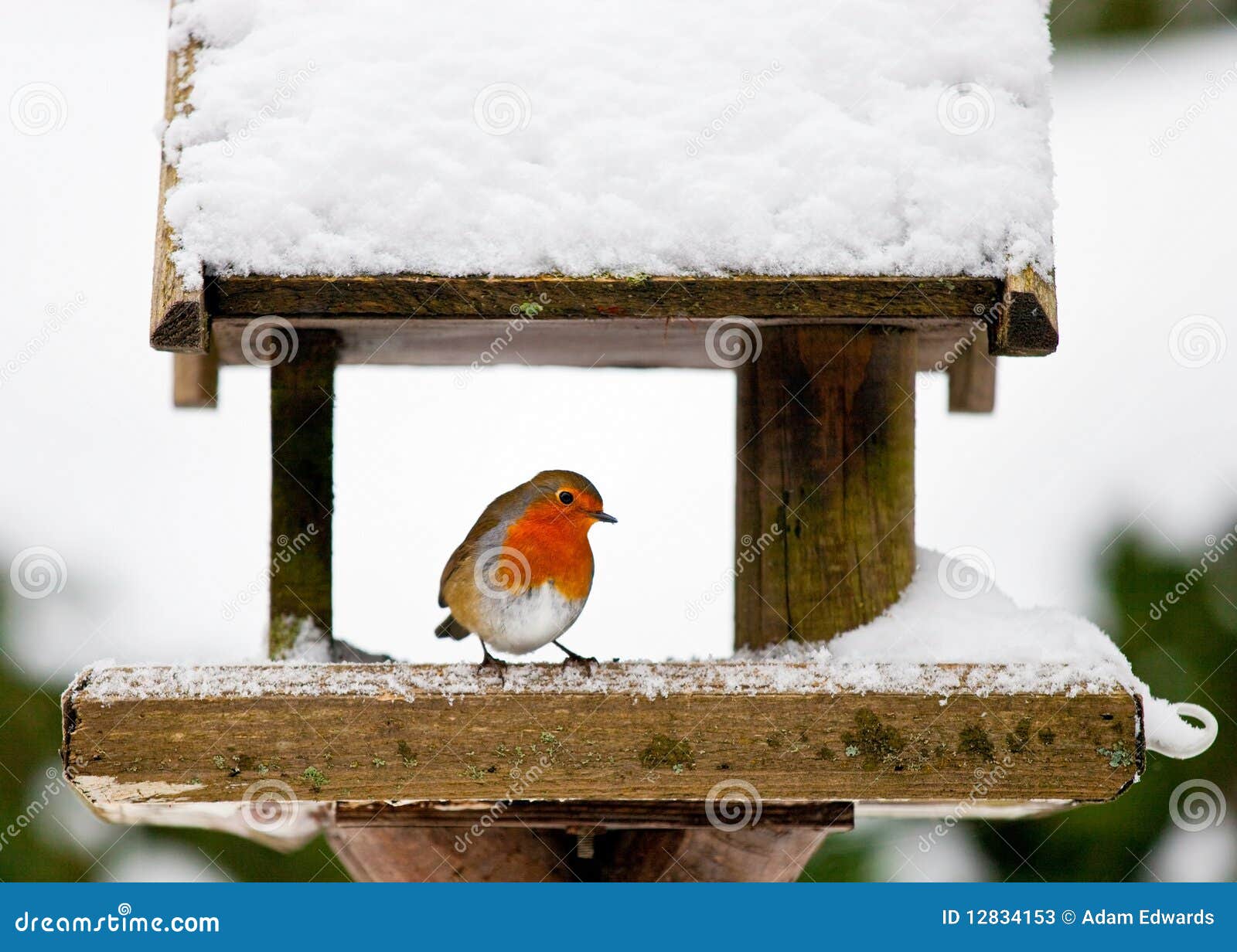 Bird Feeder in Snow Clip Art