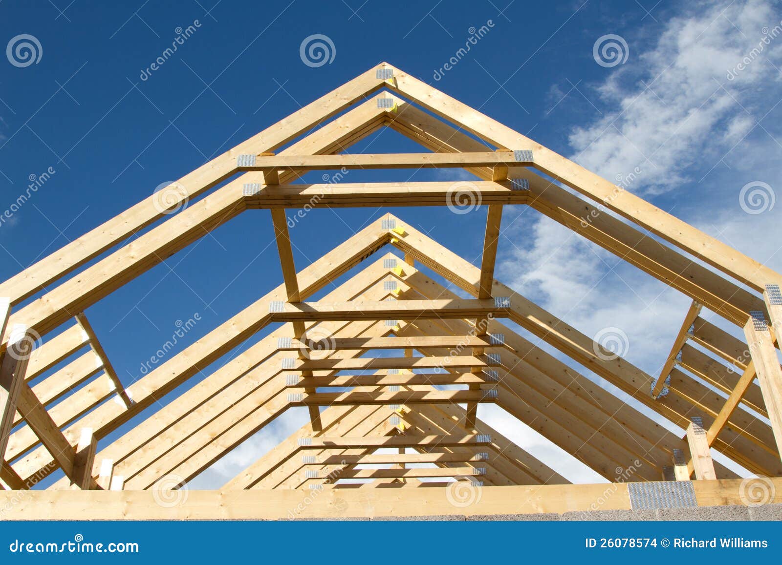 Build Roof Trusses