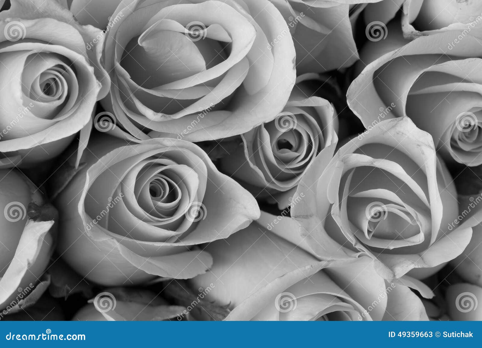 Black And White Rose Bouquet