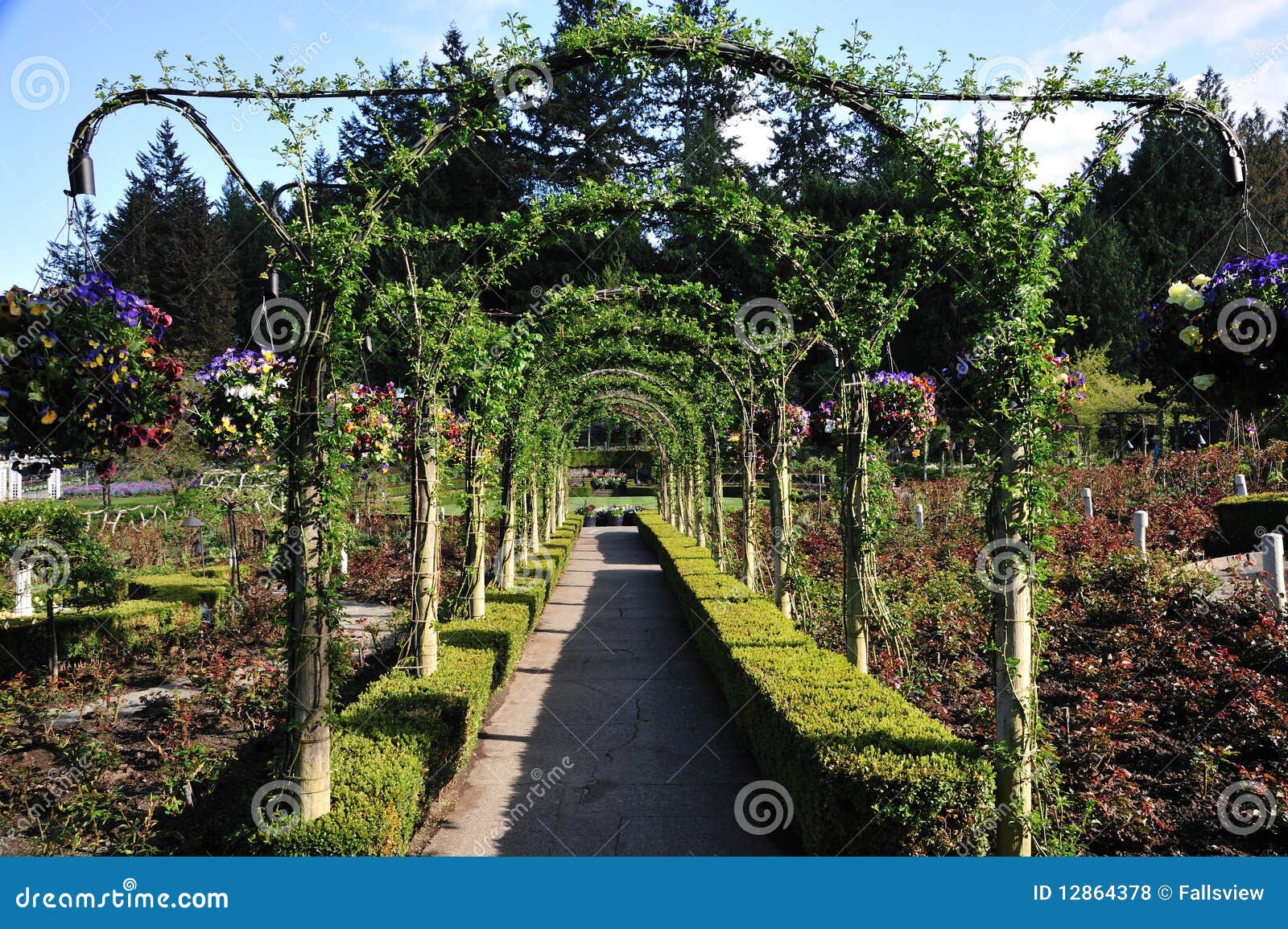 Garden Arches