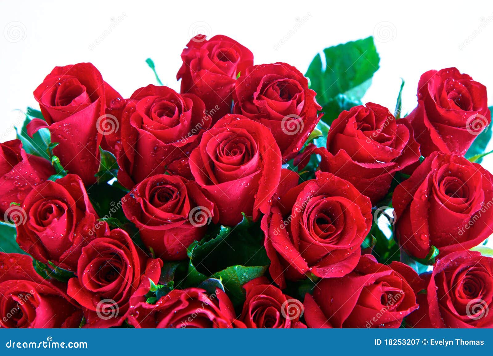 clipart rose rosse - photo #48