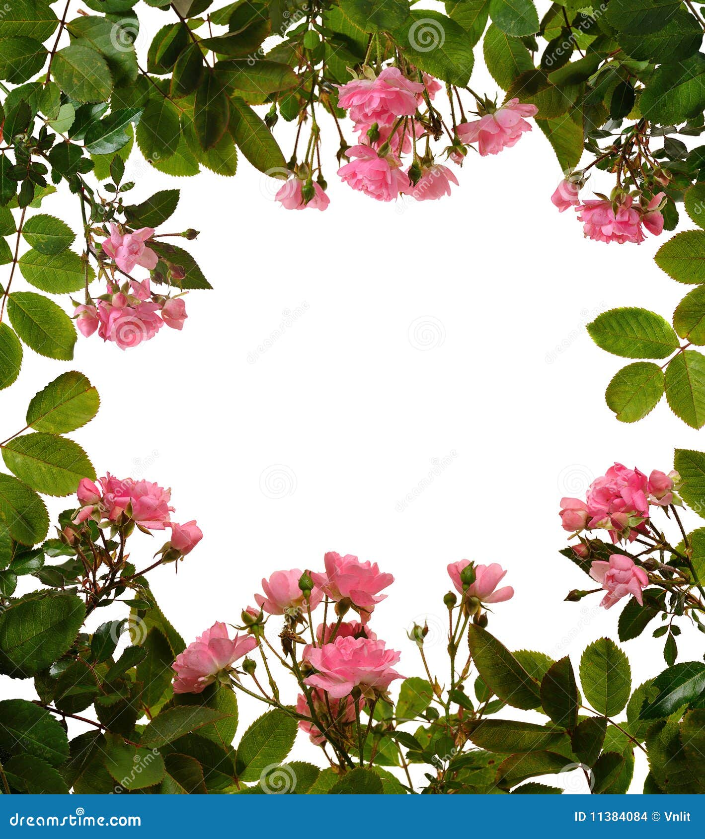 Vintage Rose Background
