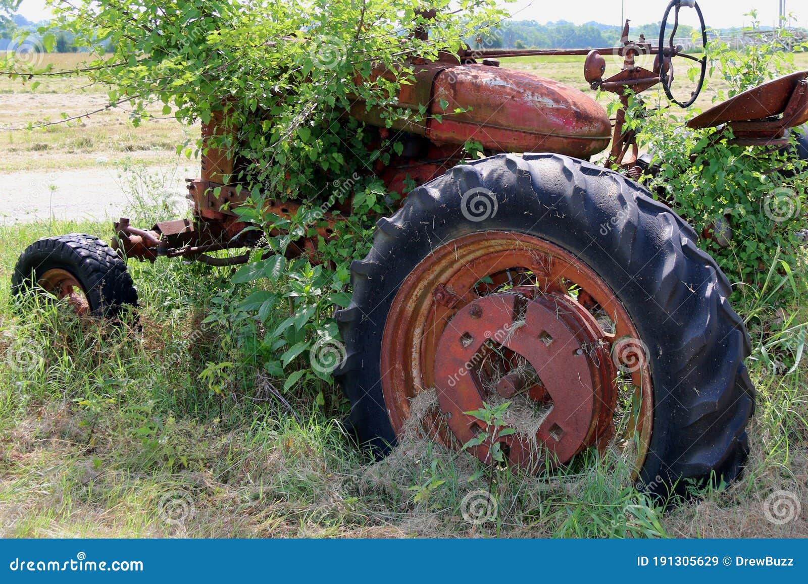A Rusted Abandoned Old Vintage Red Farm Tractor With Overgrown Wild