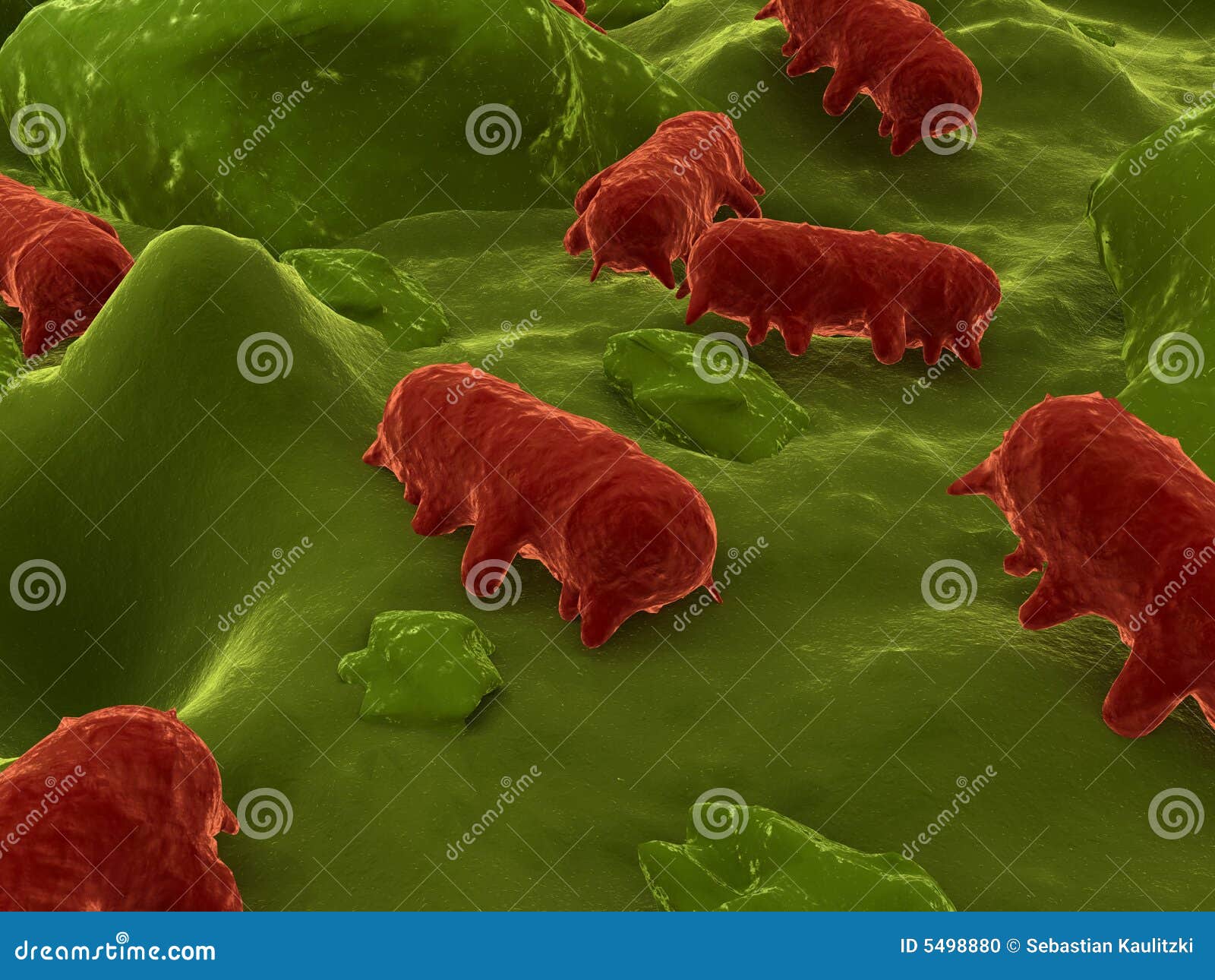 download campylobacteriosis deadly diseases and epidemics