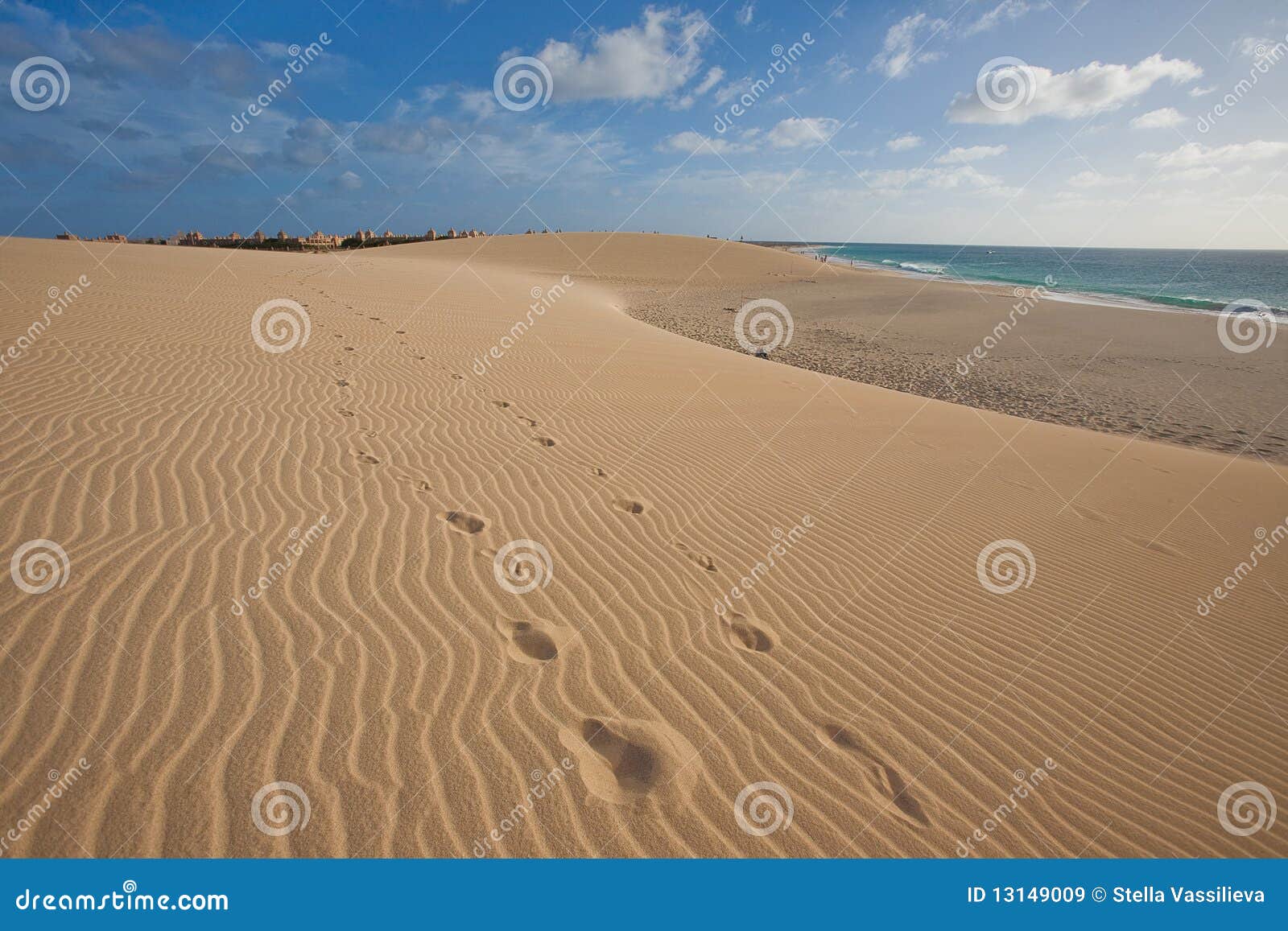 Sand Dunes Near The Ocean Royalty Free Stock Images ...