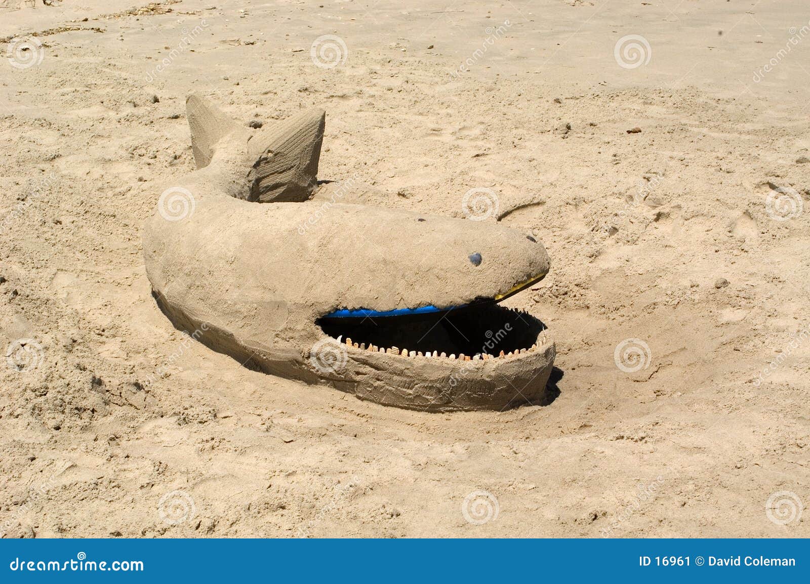 Sand Whale Stock Image Image 16961