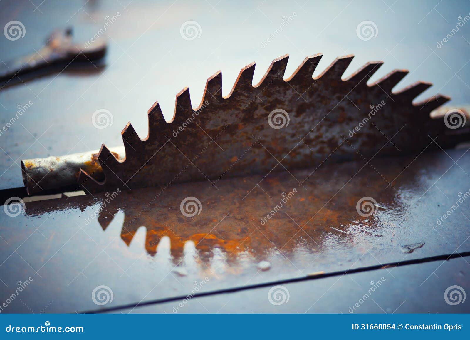 Abstract picture with reflection of a rusty sawmill blade.