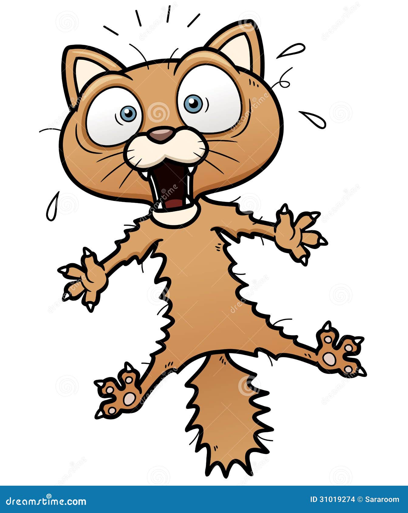 clipart scared cat - photo #3