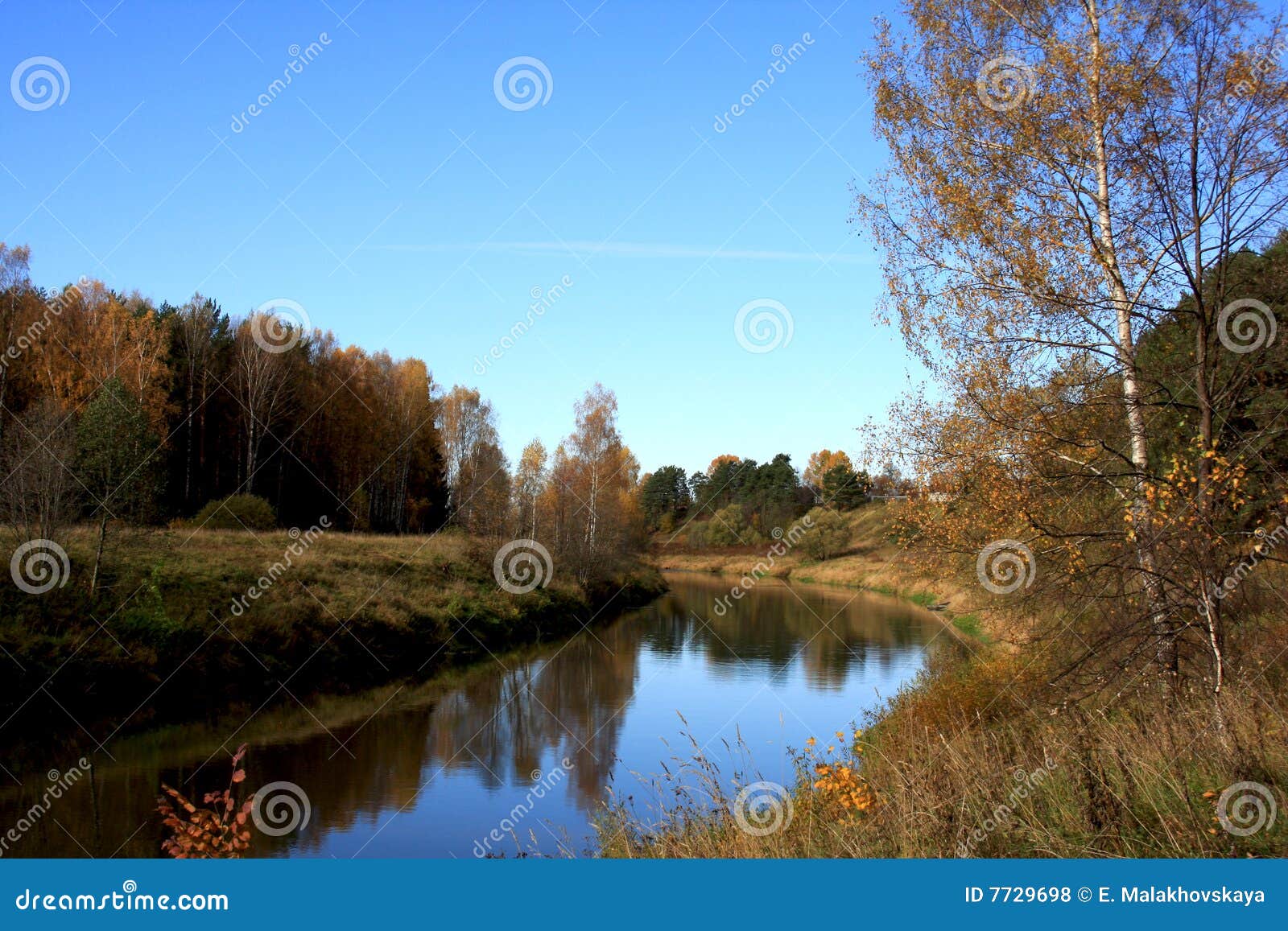 Scenic view of river in colorful autumn scene, forest in background.