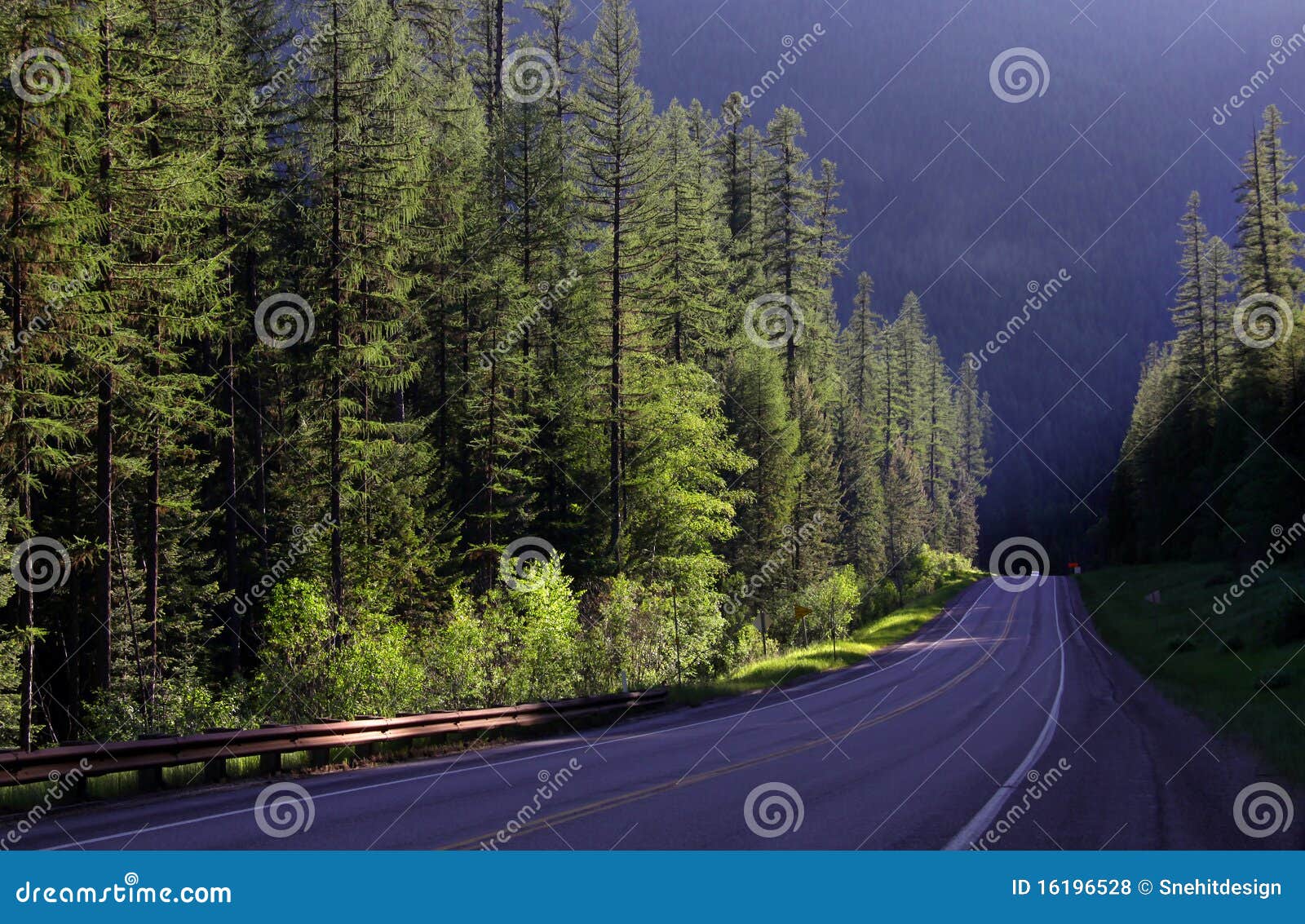 Scenic drive in Glacier national park in early morning sun light.