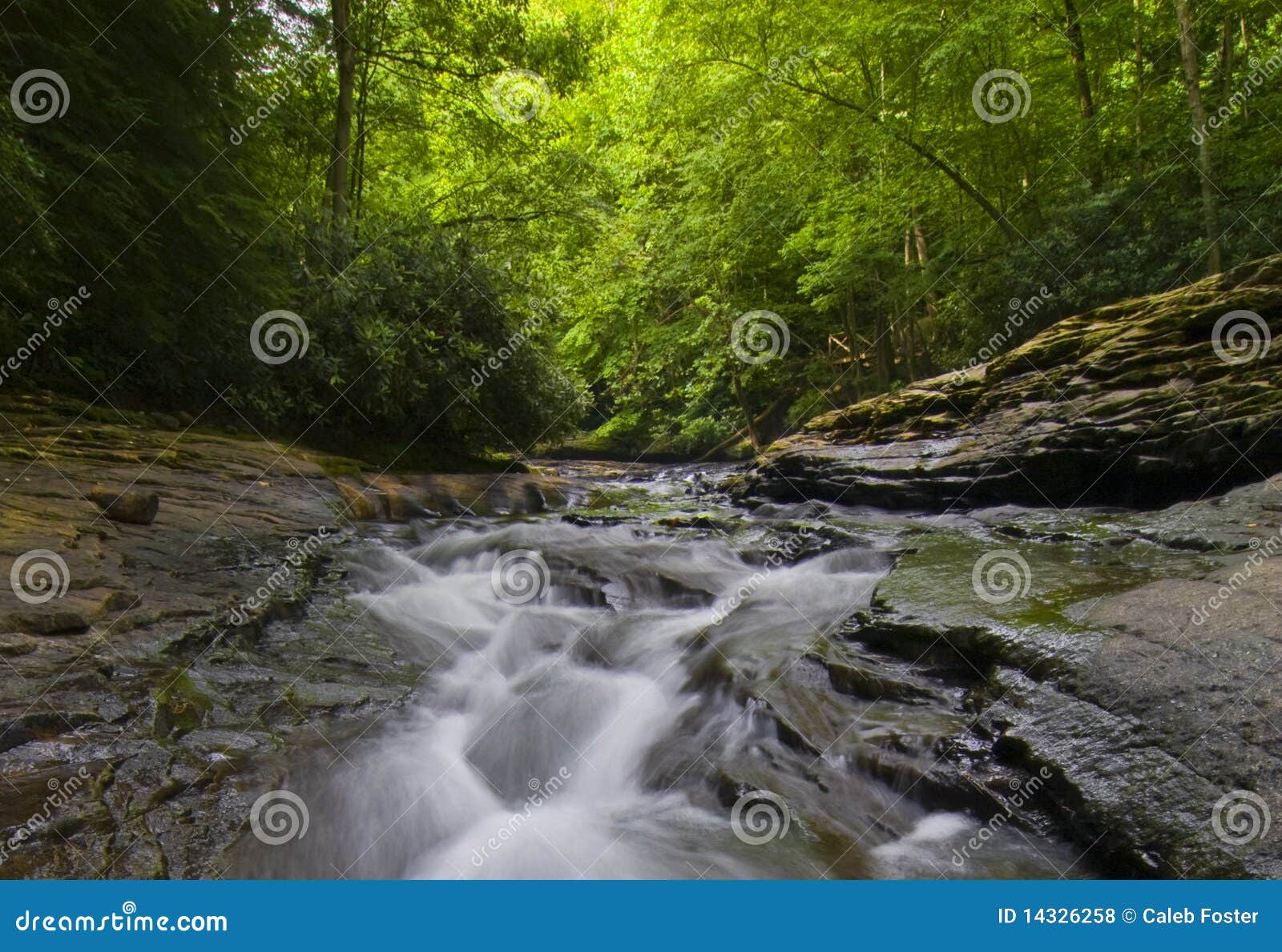 Beautiful flowing stream in Ohiopyle State Park, Pennsylvania.