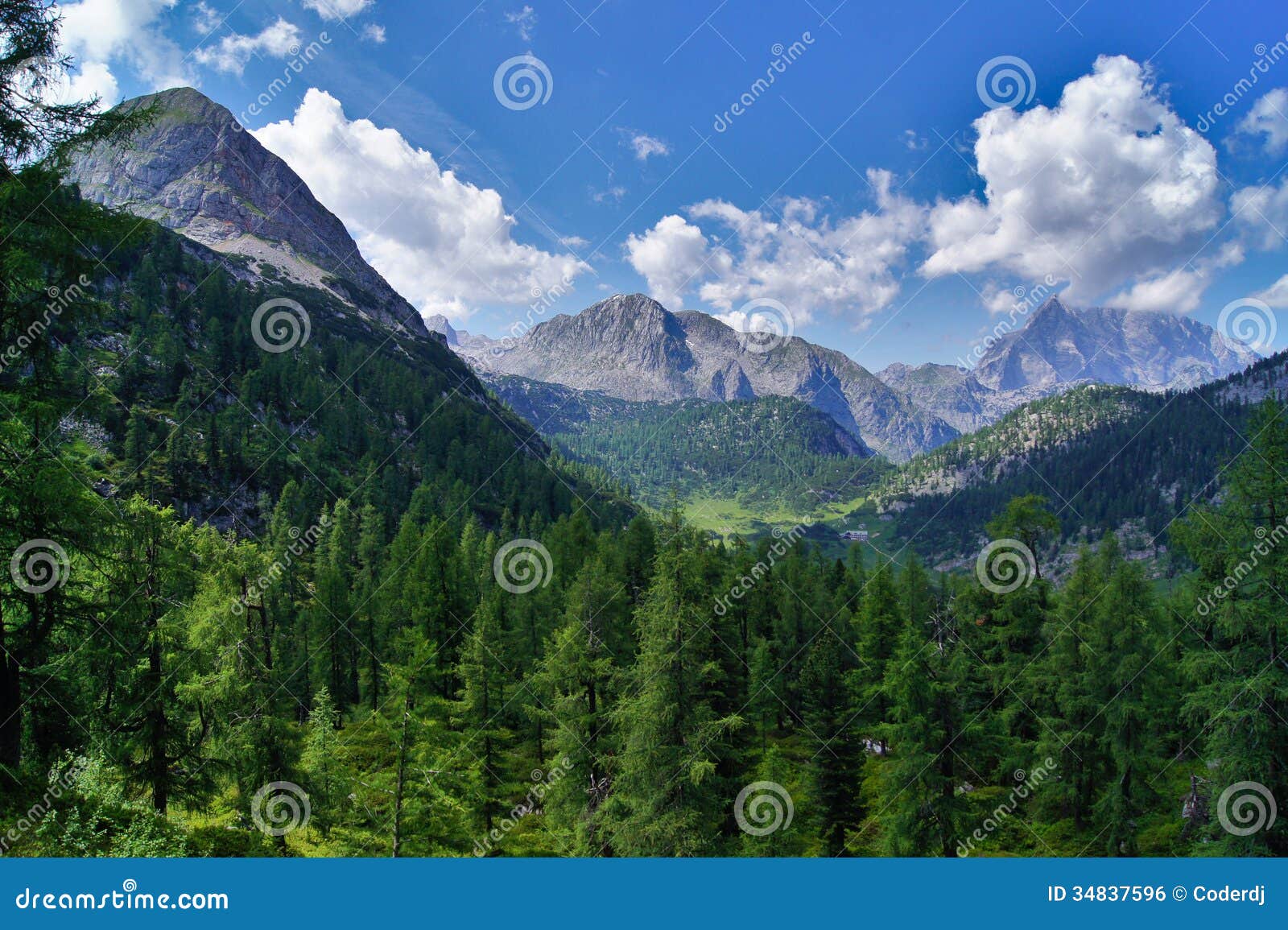 scenic view in the Berchtesgaden National Park in Bavaria, Germany.