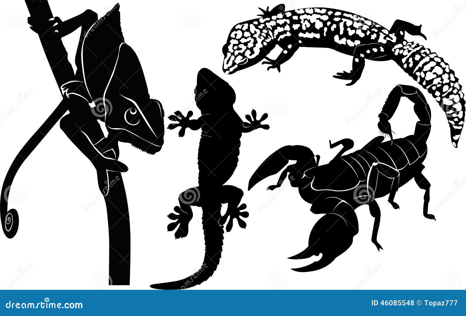 scorpion gecko chameleon stock vector image 46085548 scorpion gecko chameleon stock vector image 46085548