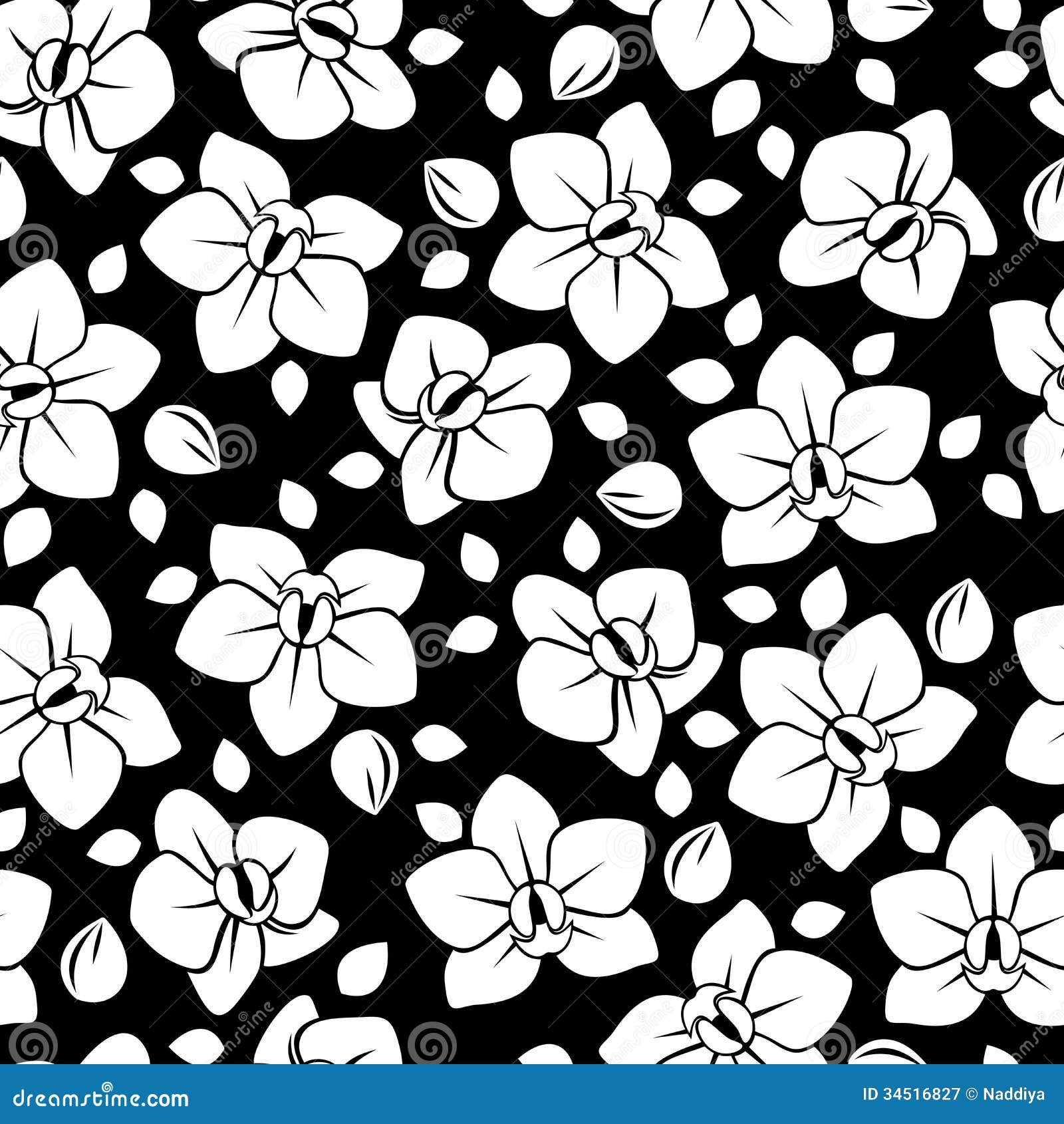 Orchid Clip Art Black And White