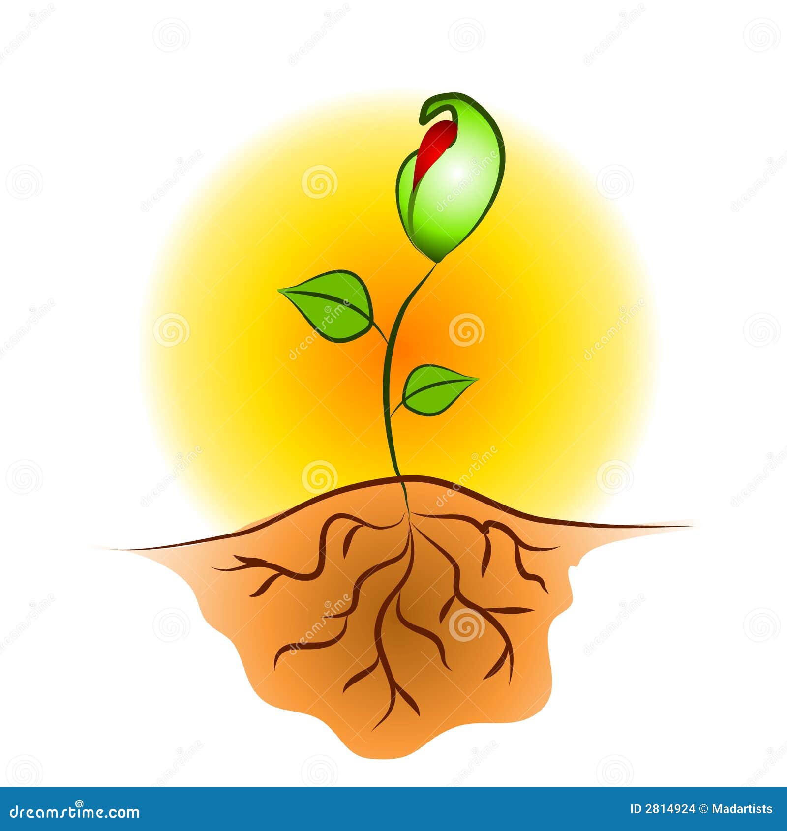 flower with roots clipart - photo #44