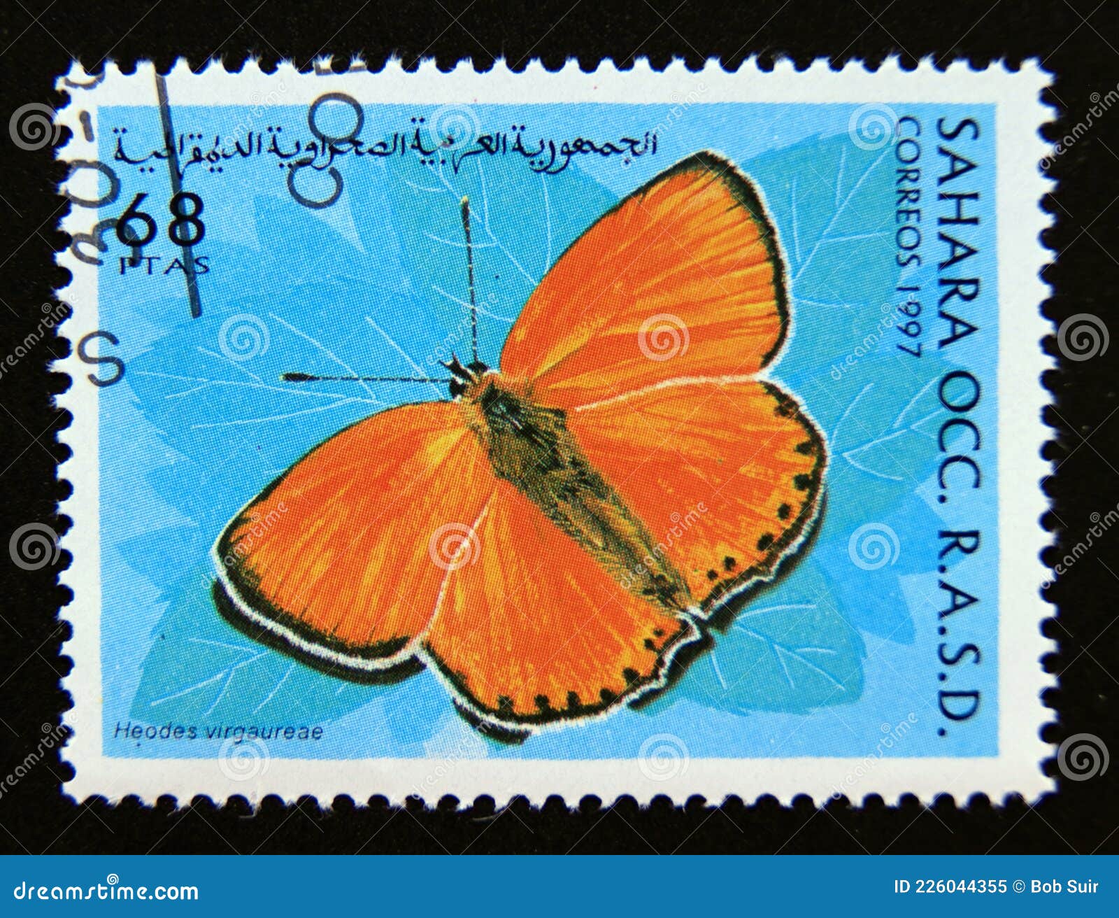 Sello Postal Cinderella 1997 Escaso Copo Heodes Virgaureae Mariposa