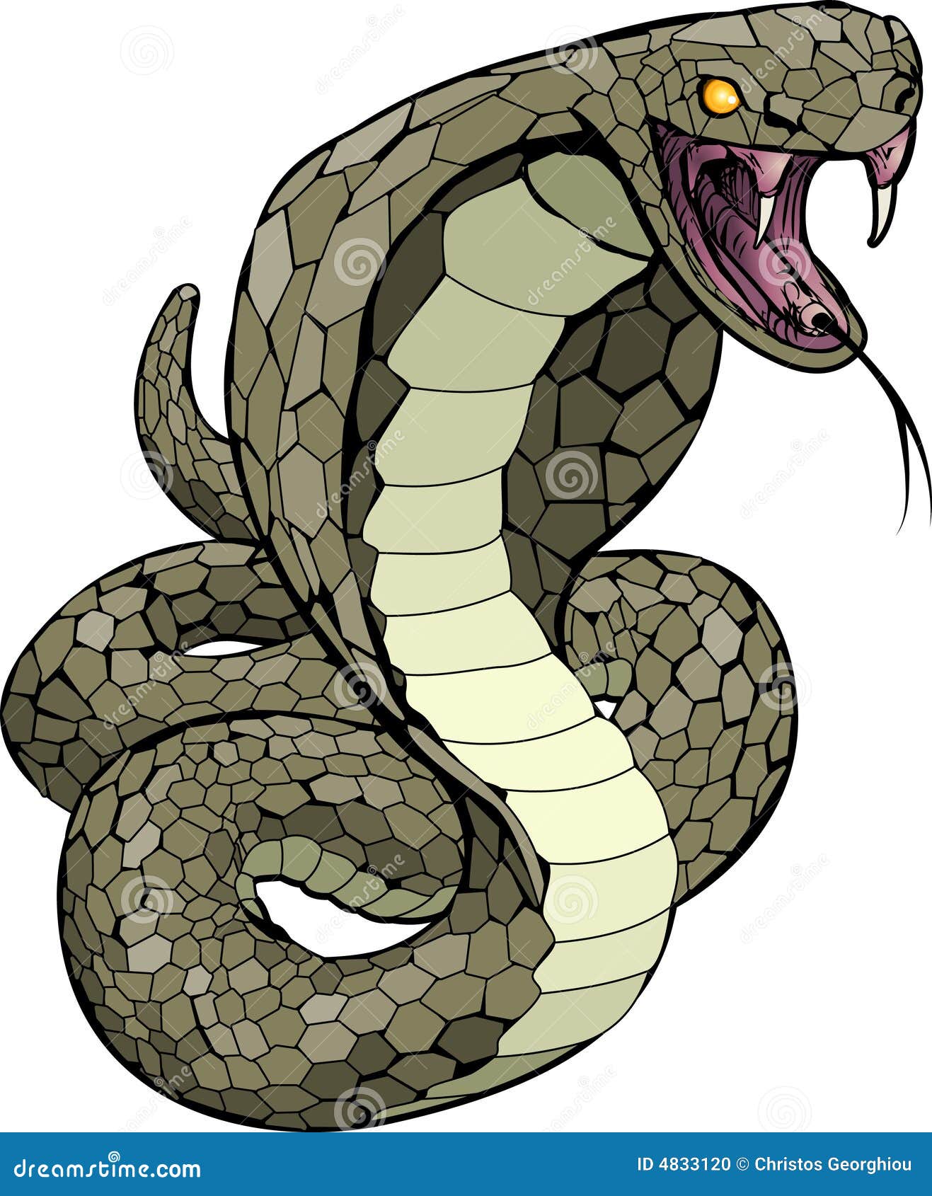 FOTO SERPIENTE COBRA foto serpiente cobra: