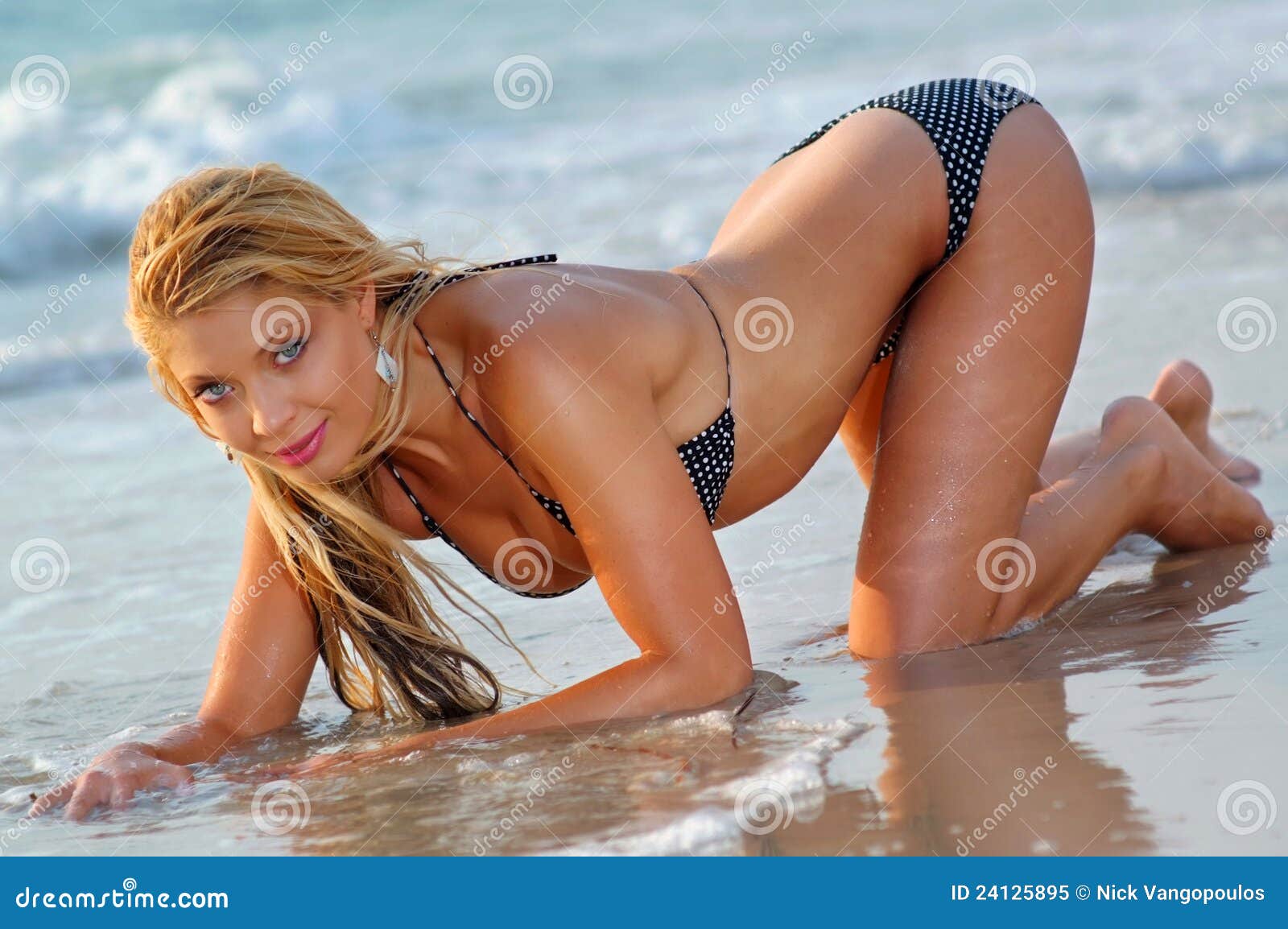 Bikini Girl Stock Image Image Of Flirting Glamour Beach 49500 Hot Sex Picture