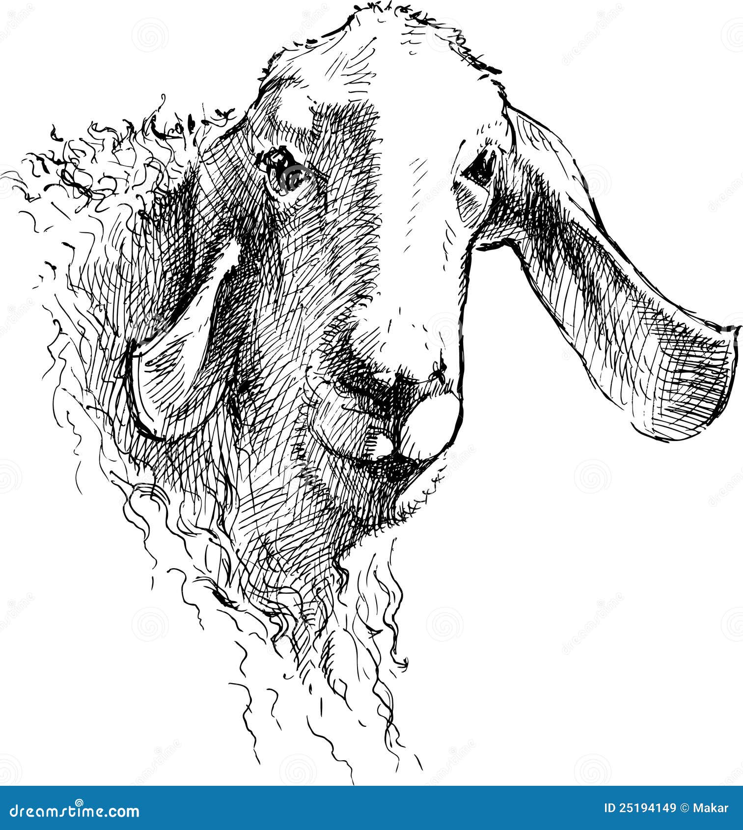 Sheep Royalty Free Stock Images - Image: 25194149