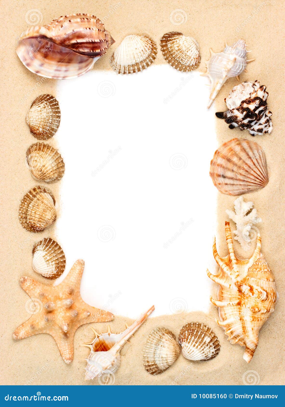Shells On Sand Frame Stock Photo - Image: 10085160