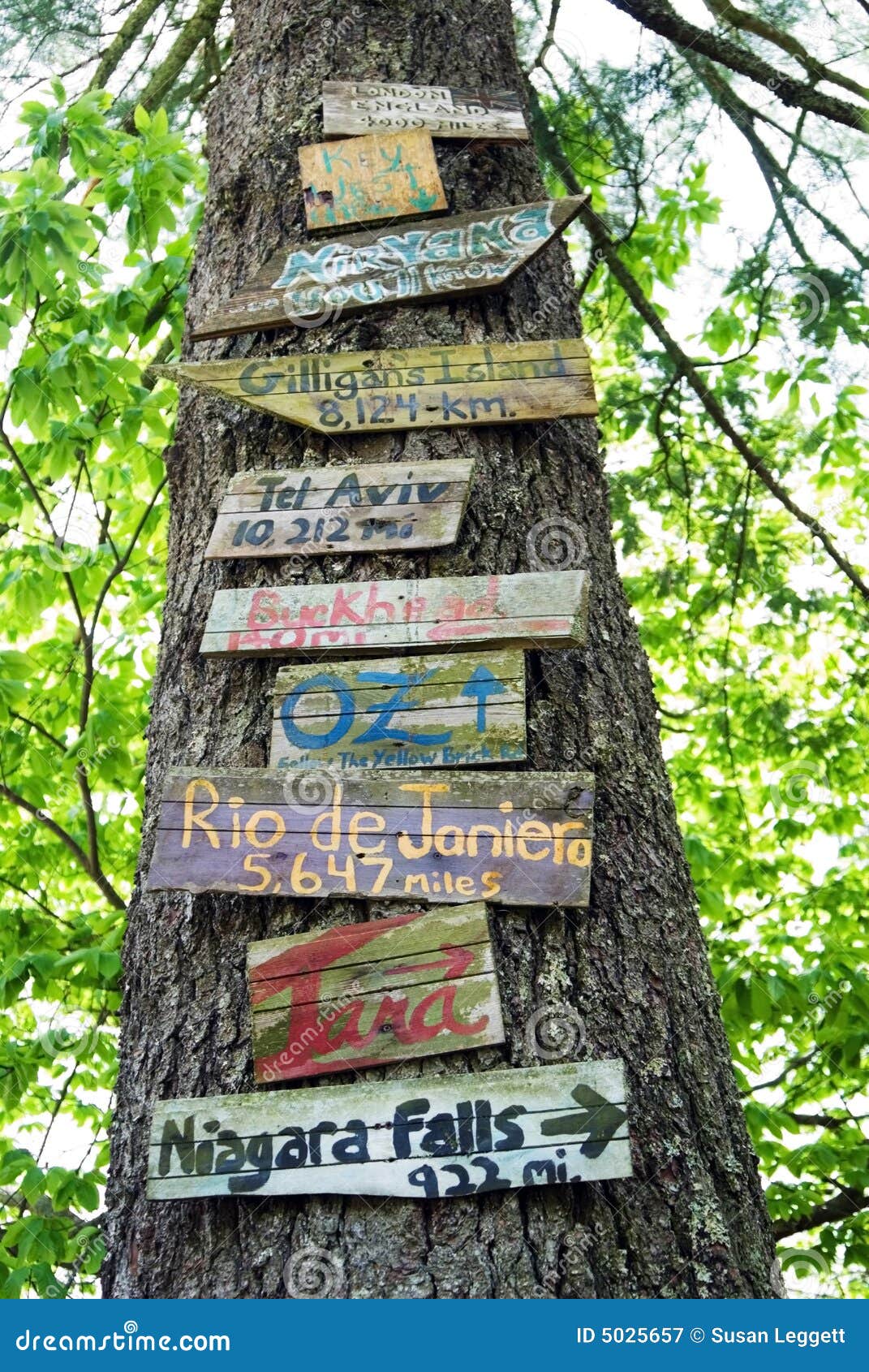 Signs On A Tree Royalty Free Stock Photography Image 5025657