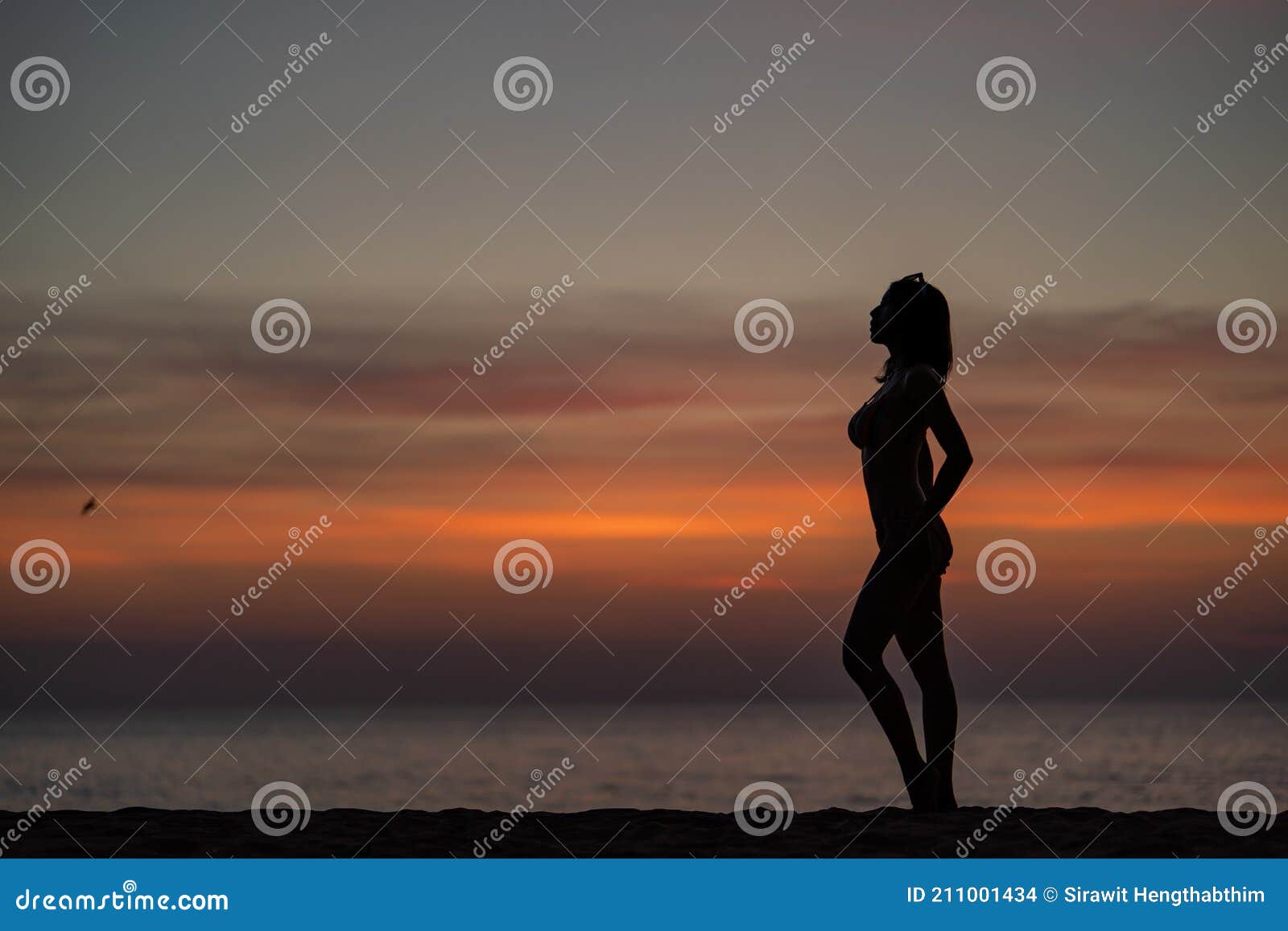 Silhouette Portrait Of Woman Wearing Bikini On The Beach Golden Sunset