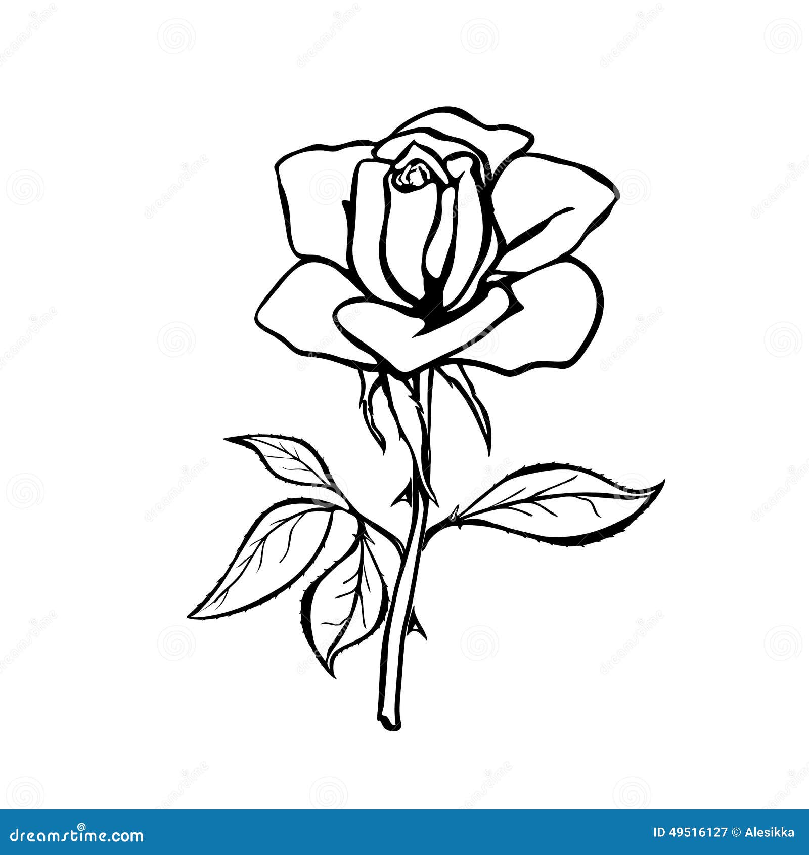 Realistic Rose Drawing Outline