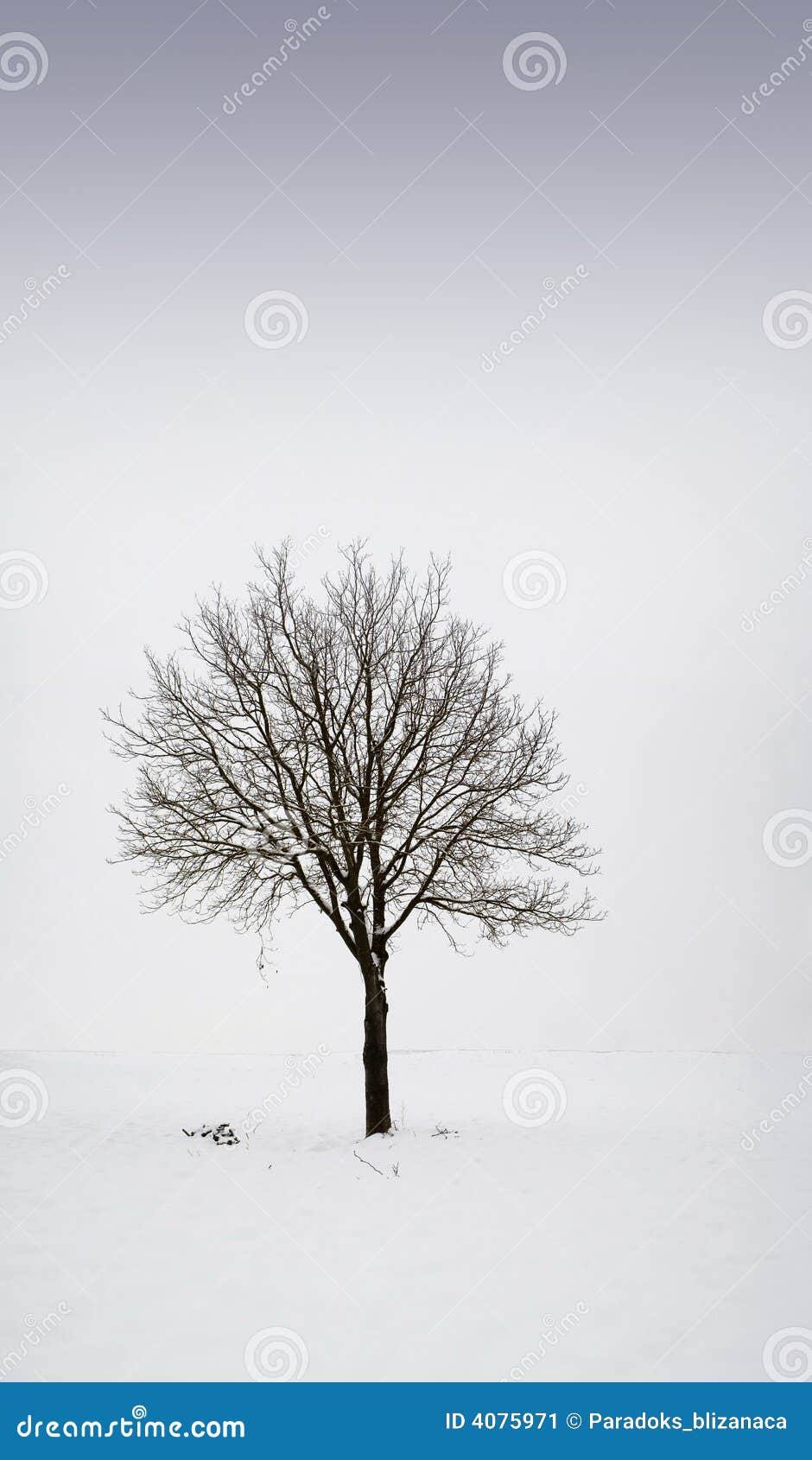 Dating in the winter time