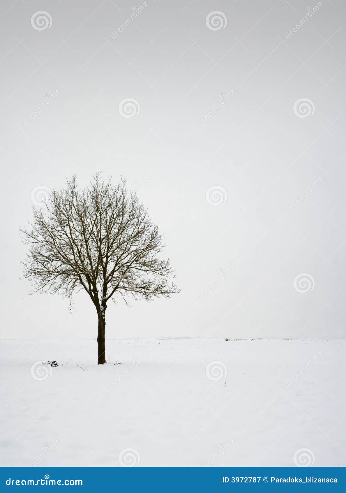Dating in the winter time