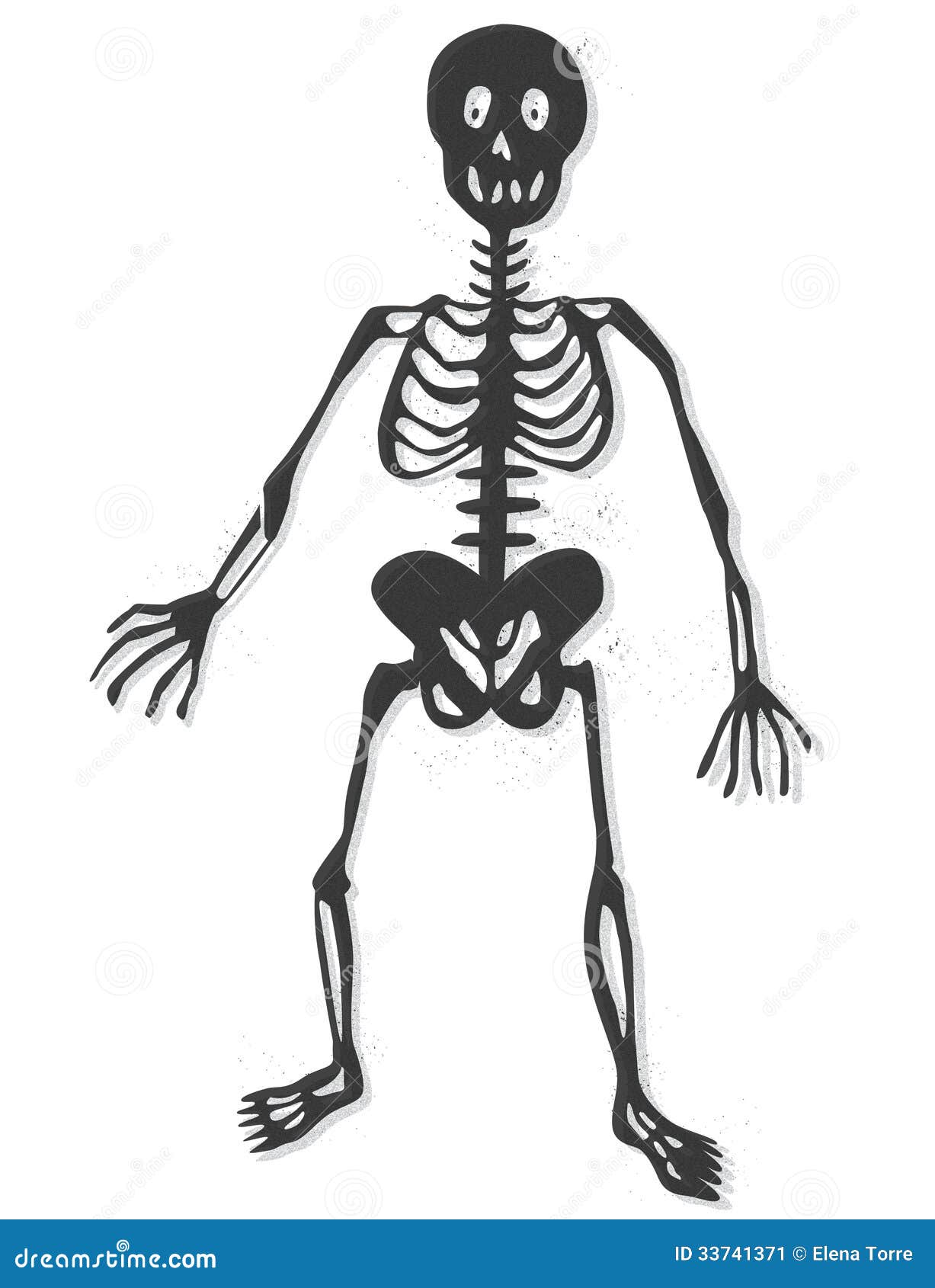 clip art of human skeleton - photo #39