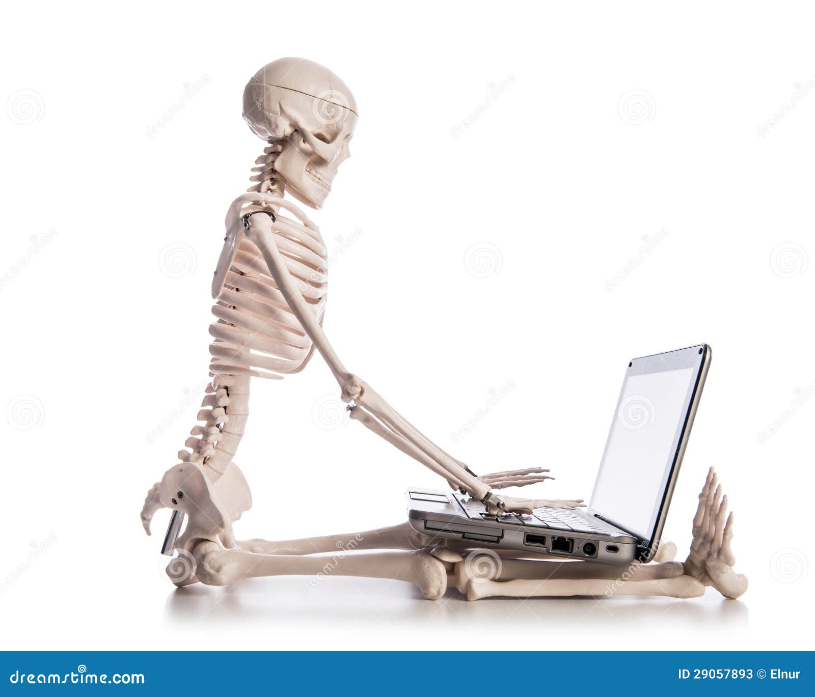 skeleton-working-laptop-29057893.jpg