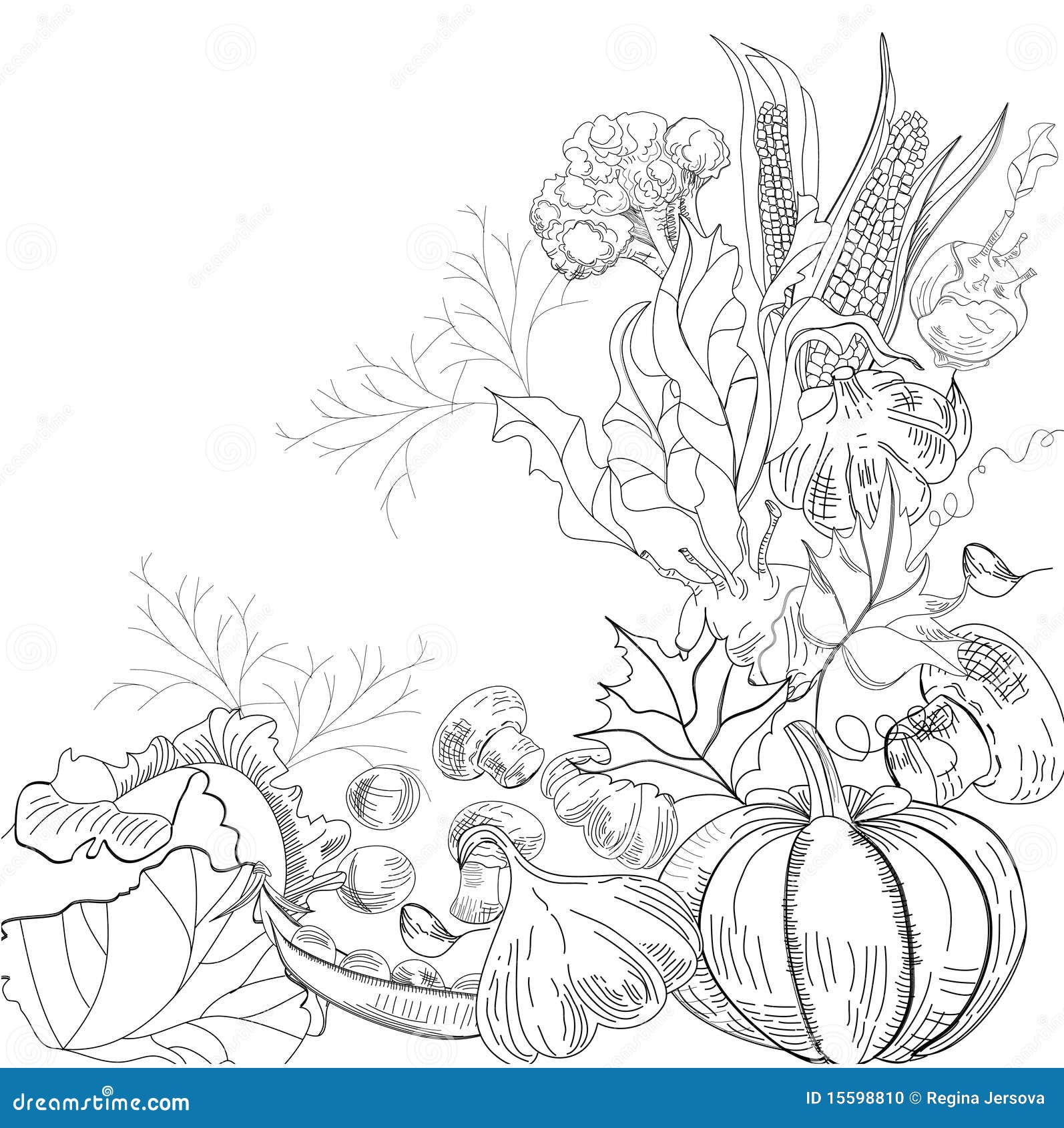 Sketch With Vegetable Stock Photo - Image: 15598810