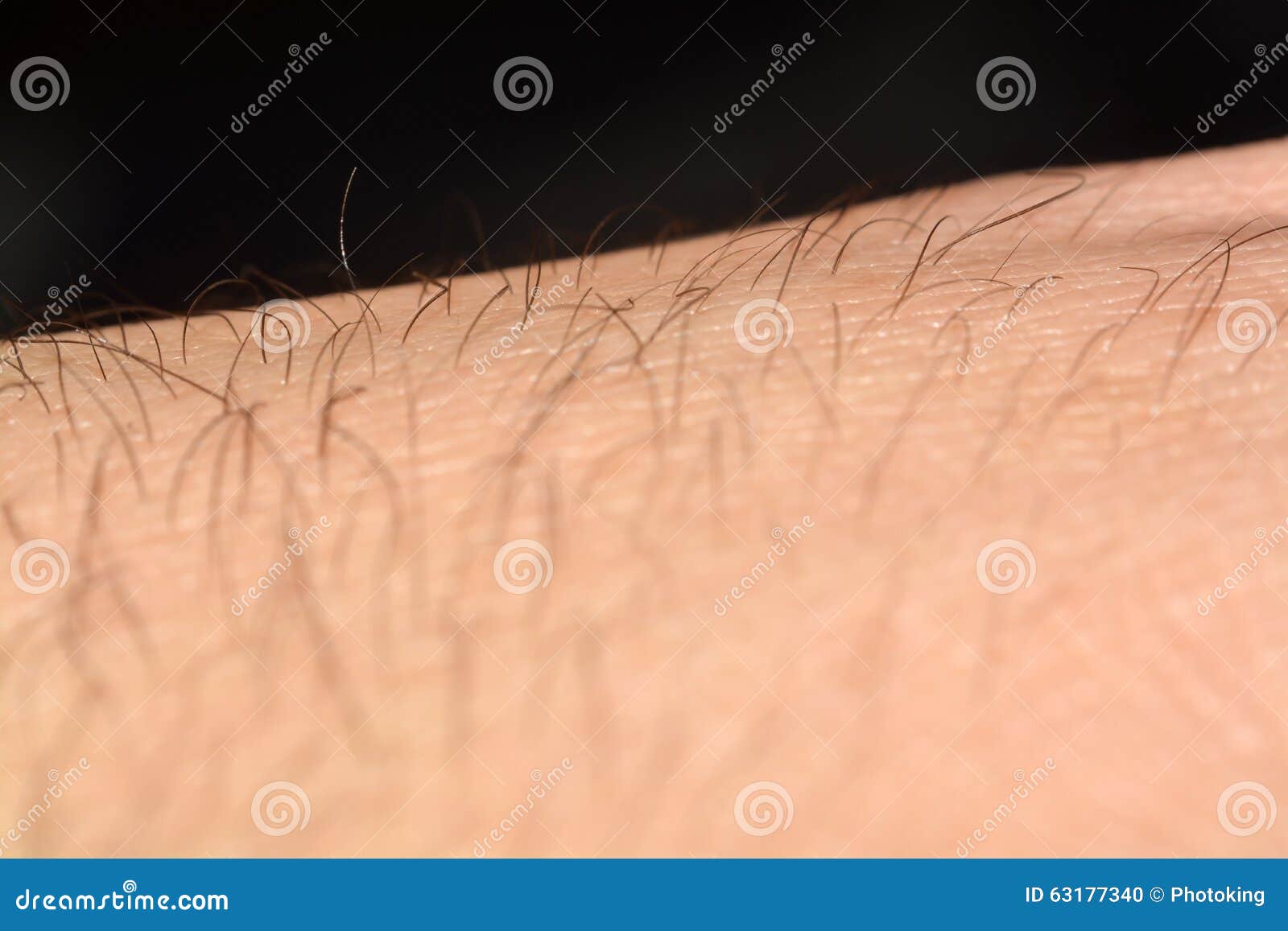 human skin background macro stock photo 366722105 skin with hair in macro stock photo image 63177340 human skin background macro stock photo 366722105 skin with hair in macro stock photo image 63177340
