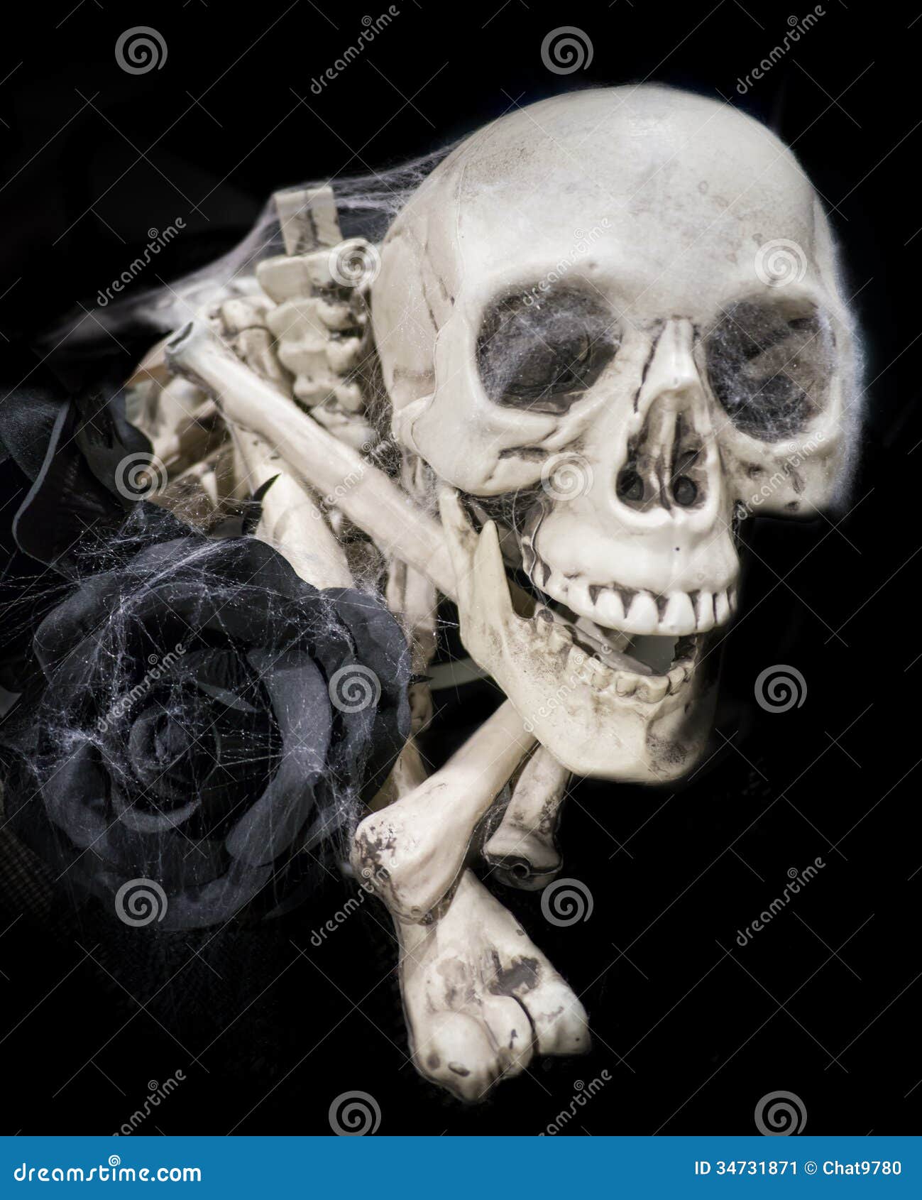 Black Roses And Skulls Black Roses And Skulls