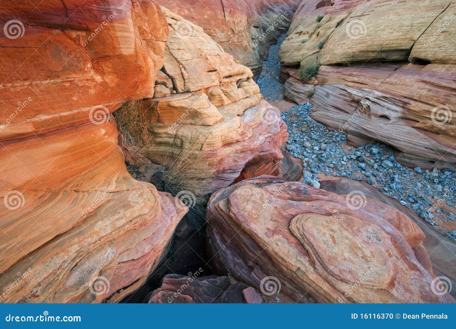 Slot canyon valley of fire
